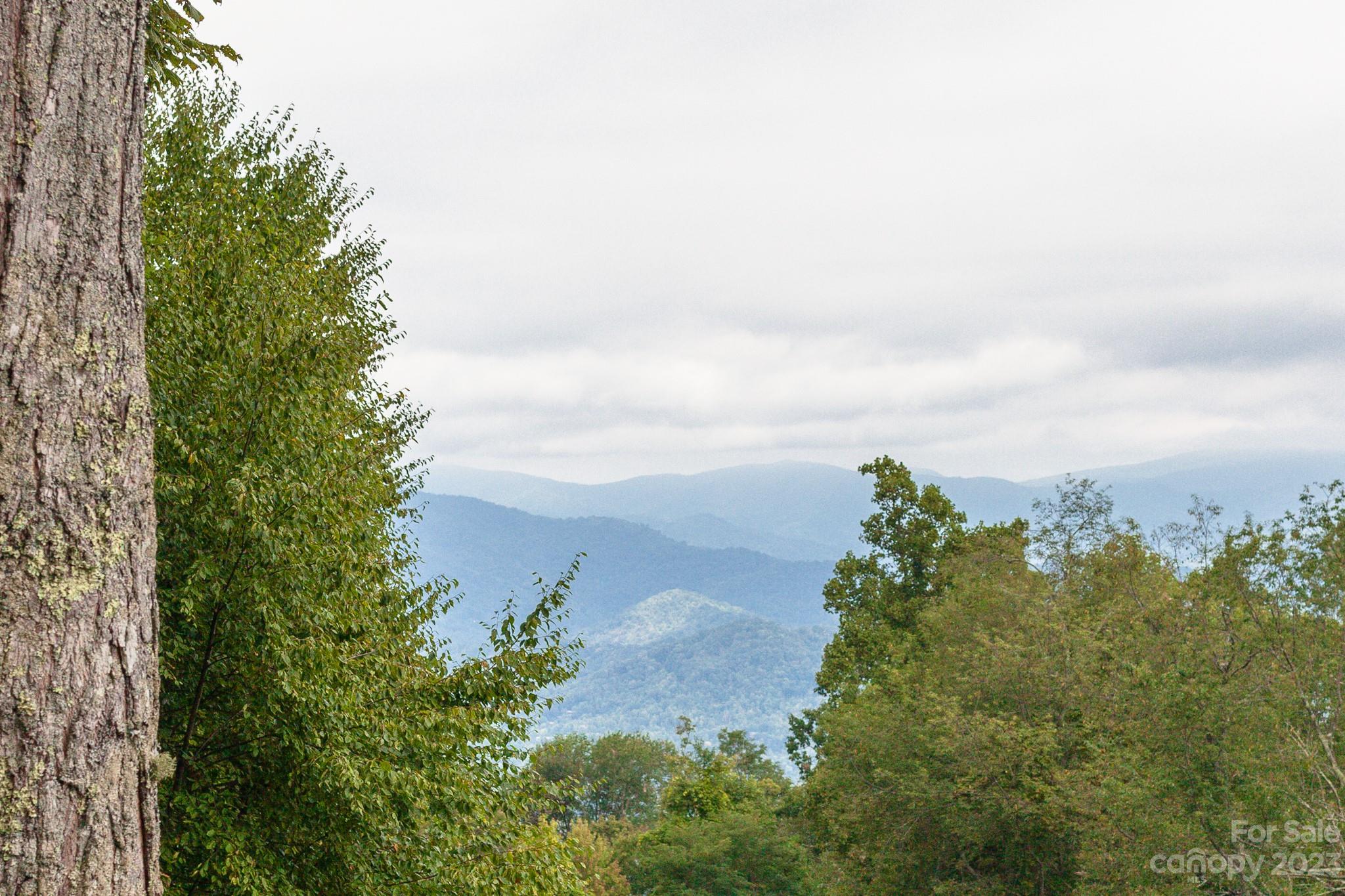 2520 Mountain Air thumbnail image 46