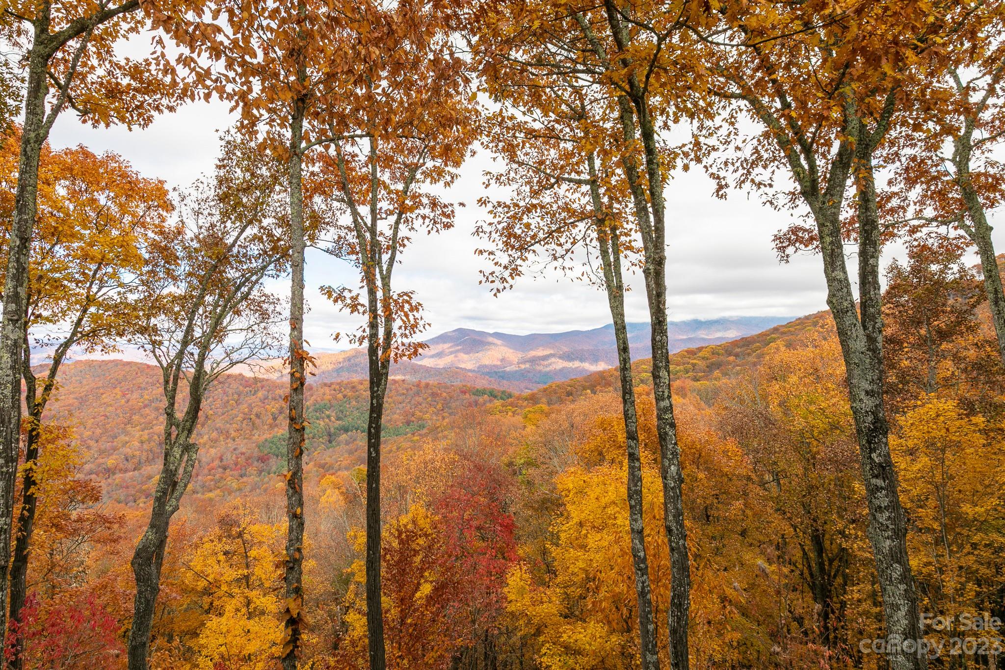 121 Stoney Falls thumbnail image 36