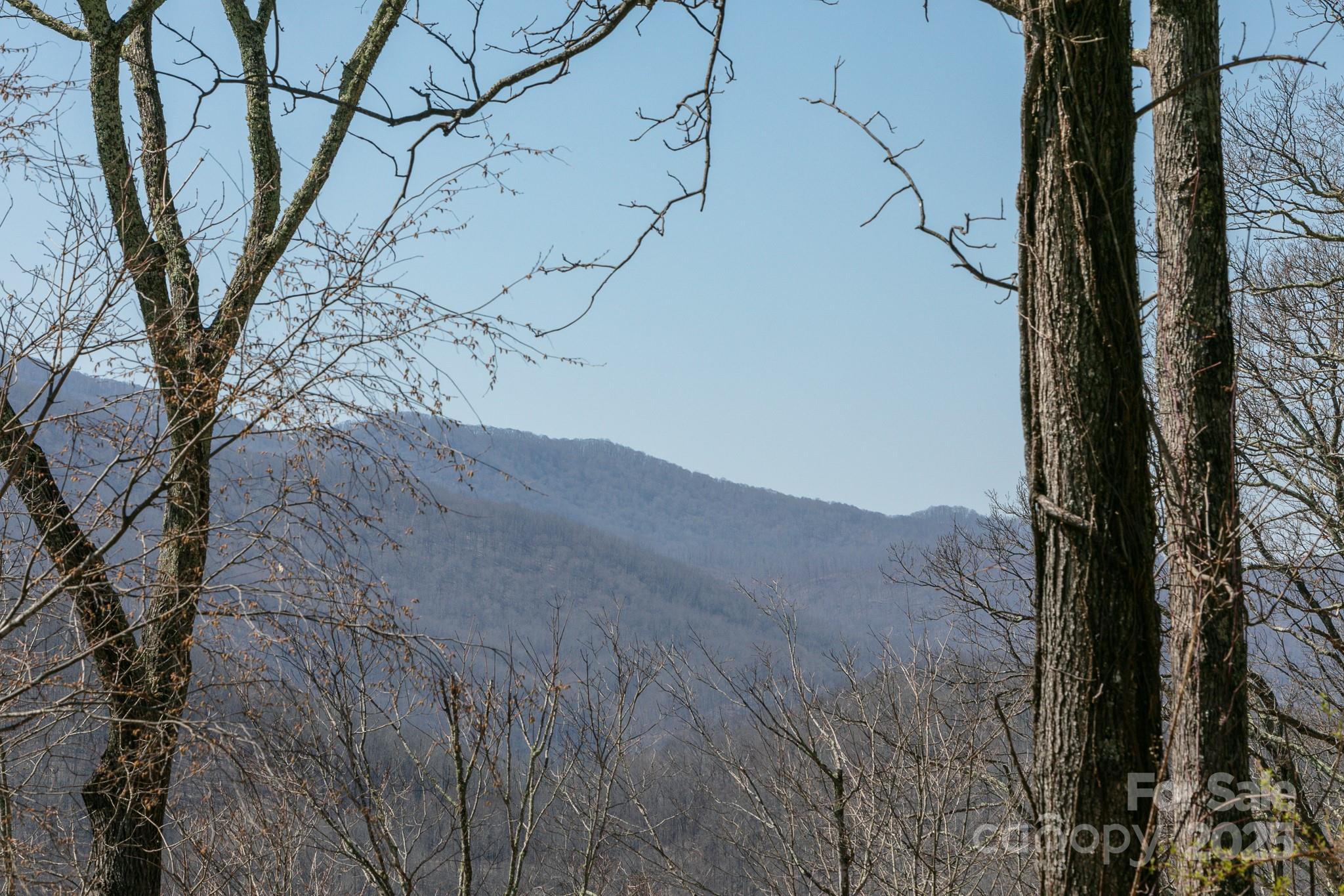 LOT 13 Austin Mountain Drive 13/3 thumbnail image 6