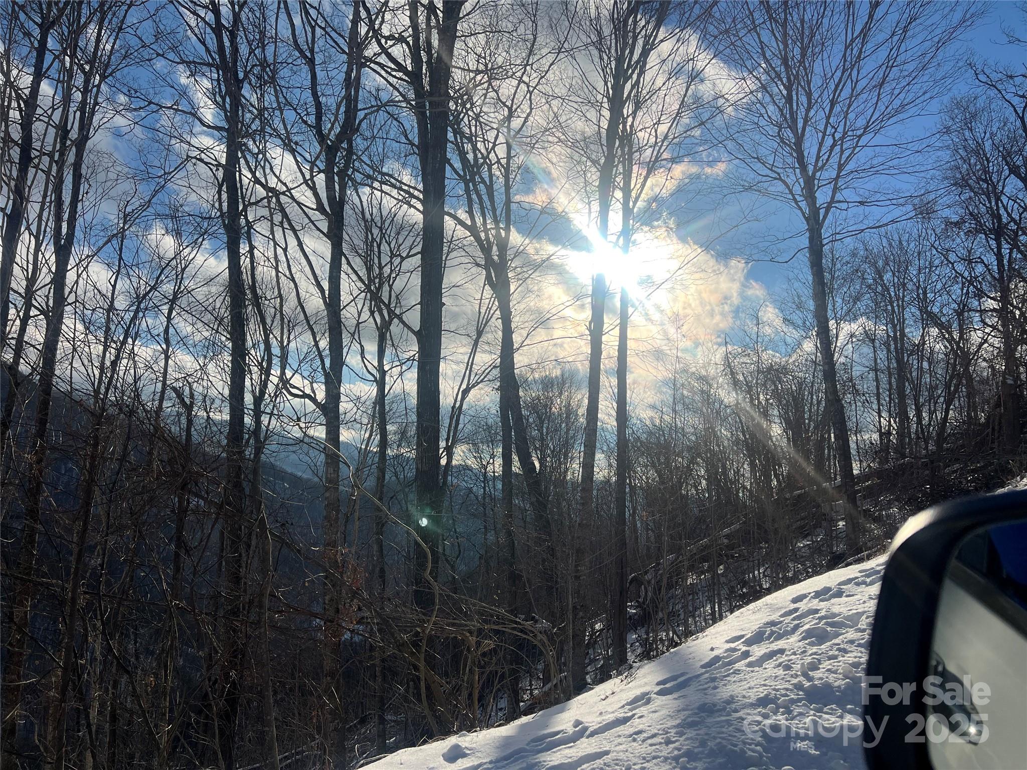 LOT 13 Austin Mountain Drive 13/3 thumbnail image 3