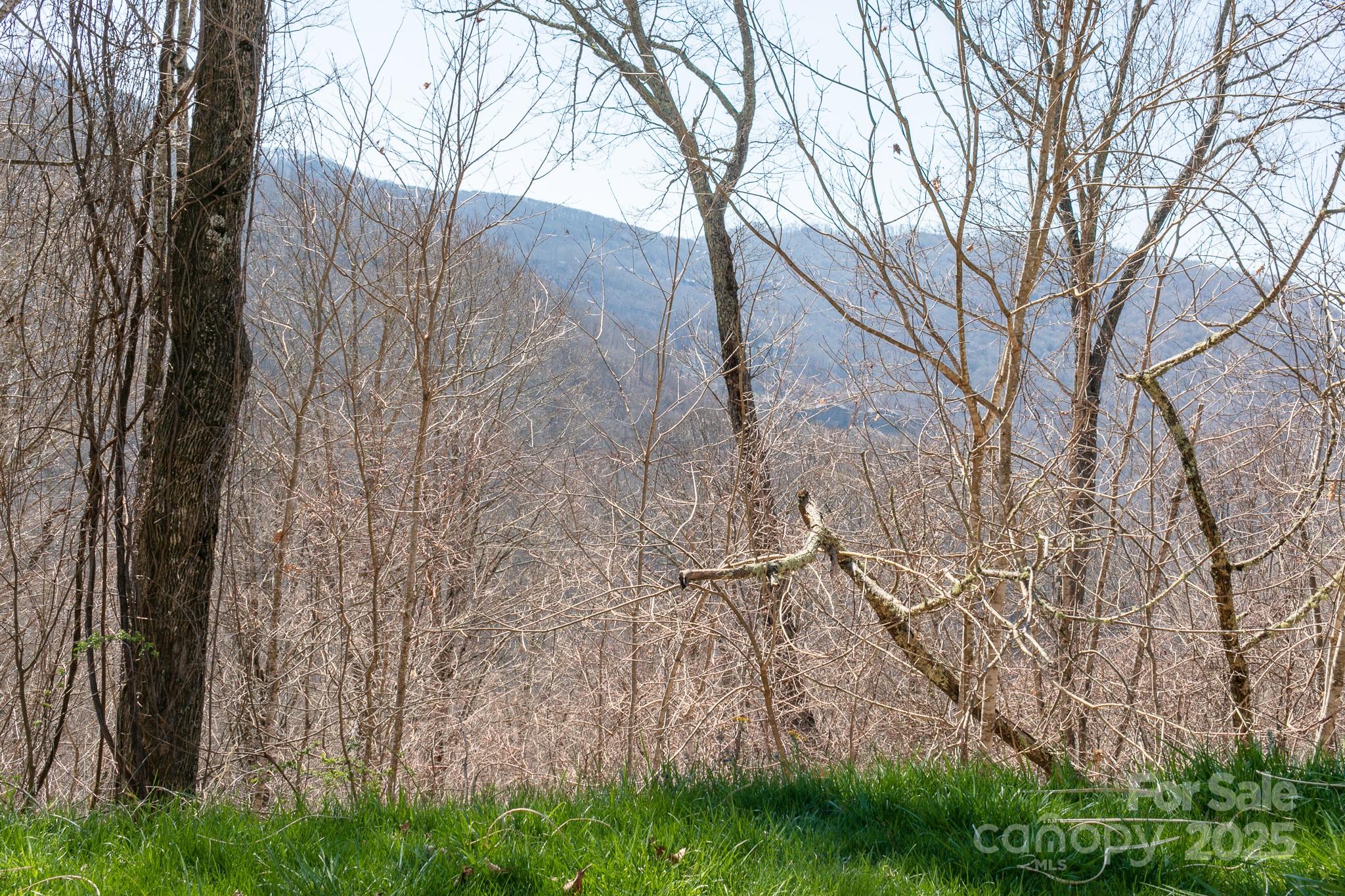 LOT 13 Austin Mountain Drive 13/3 thumbnail image 14