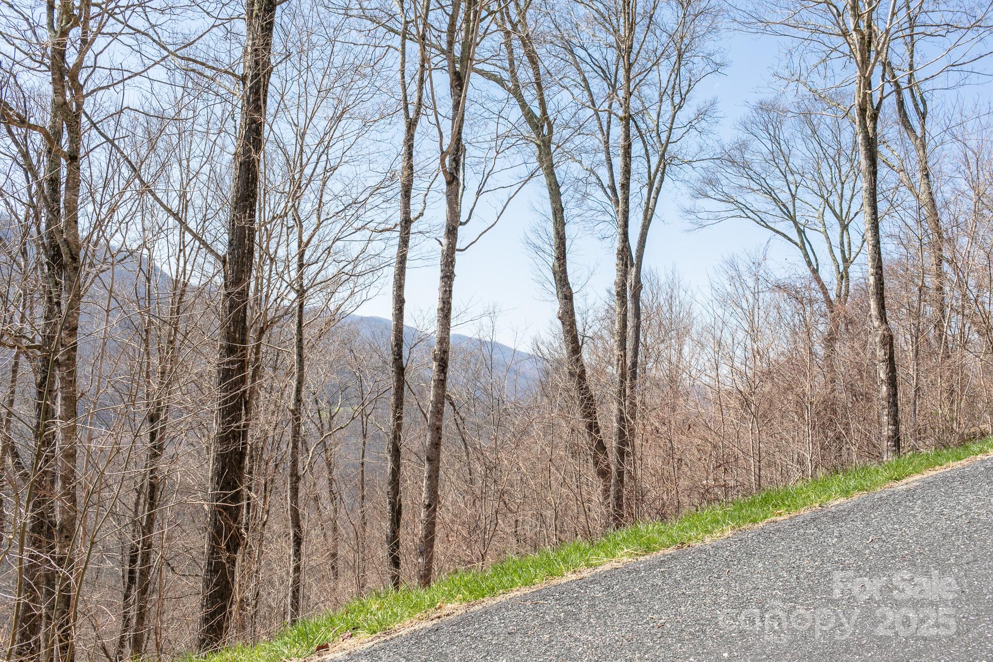 LOT 13 Austin Mountain Drive 13/3 thumbnail image 7