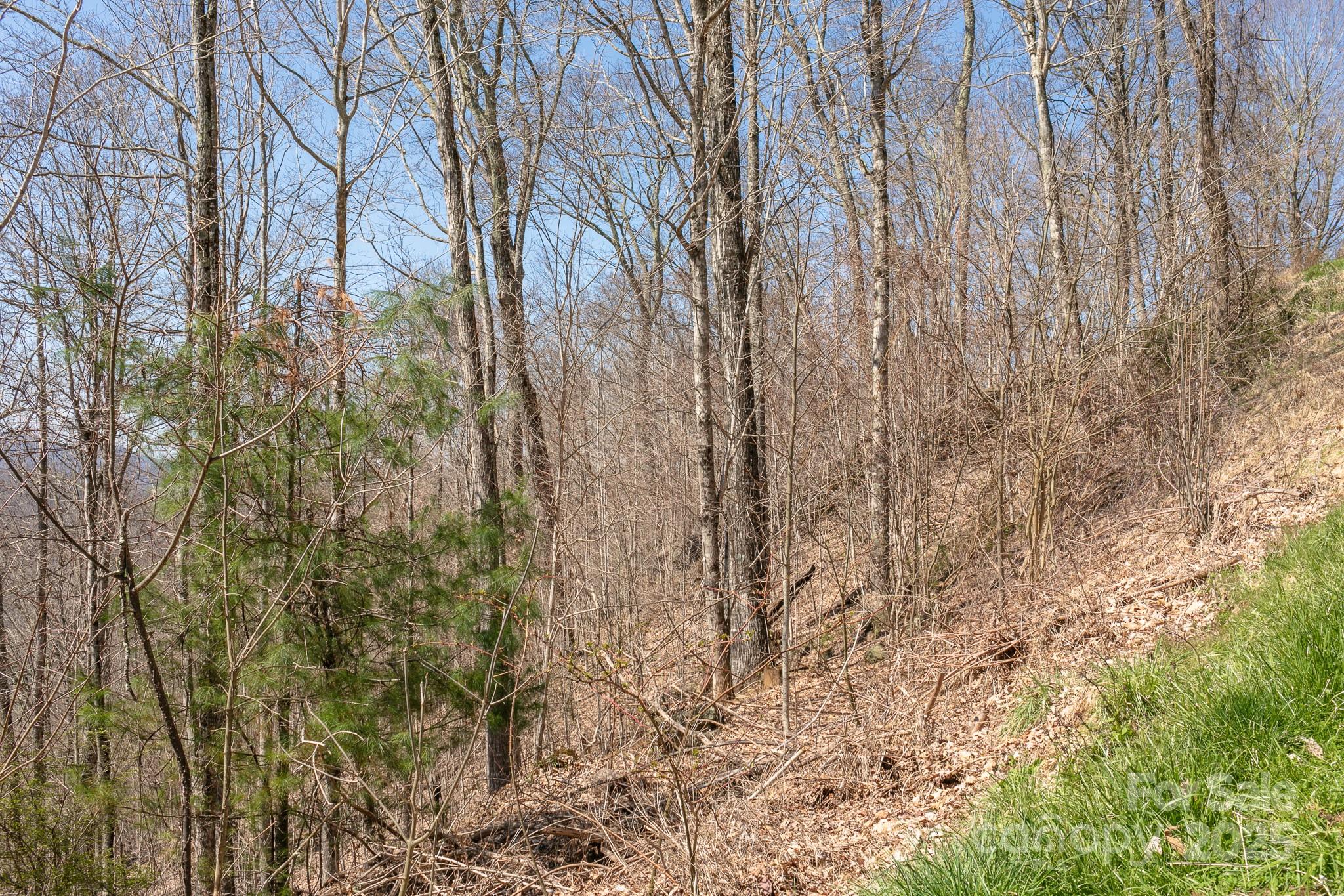 LOT 13 Austin Mountain Drive 13/3 thumbnail image 8