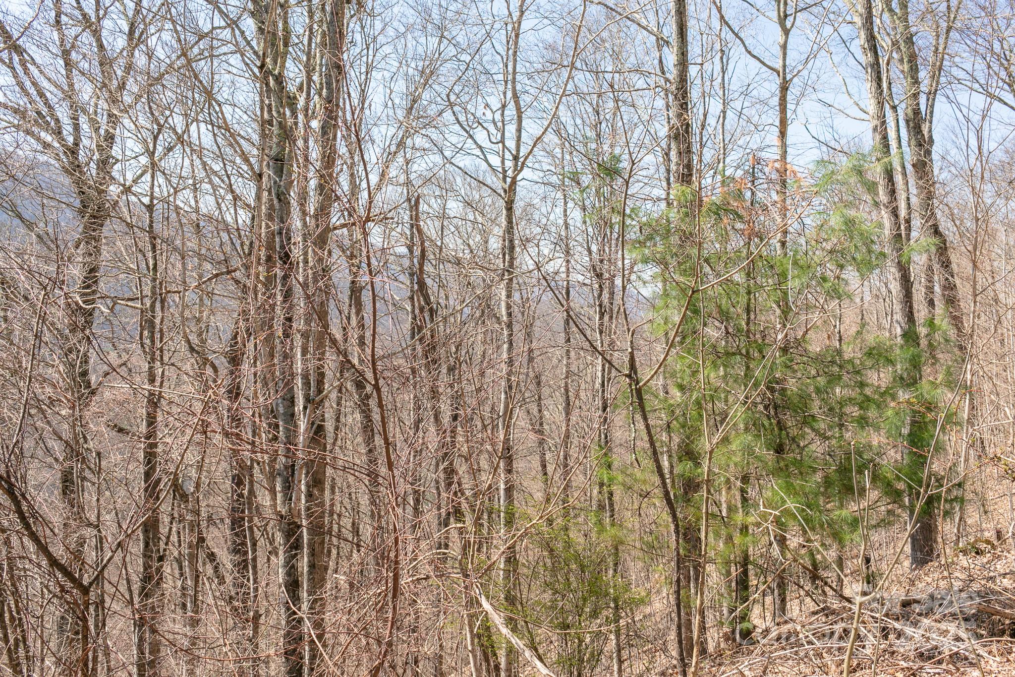 LOT 13 Austin Mountain Drive 13/3 thumbnail image 9