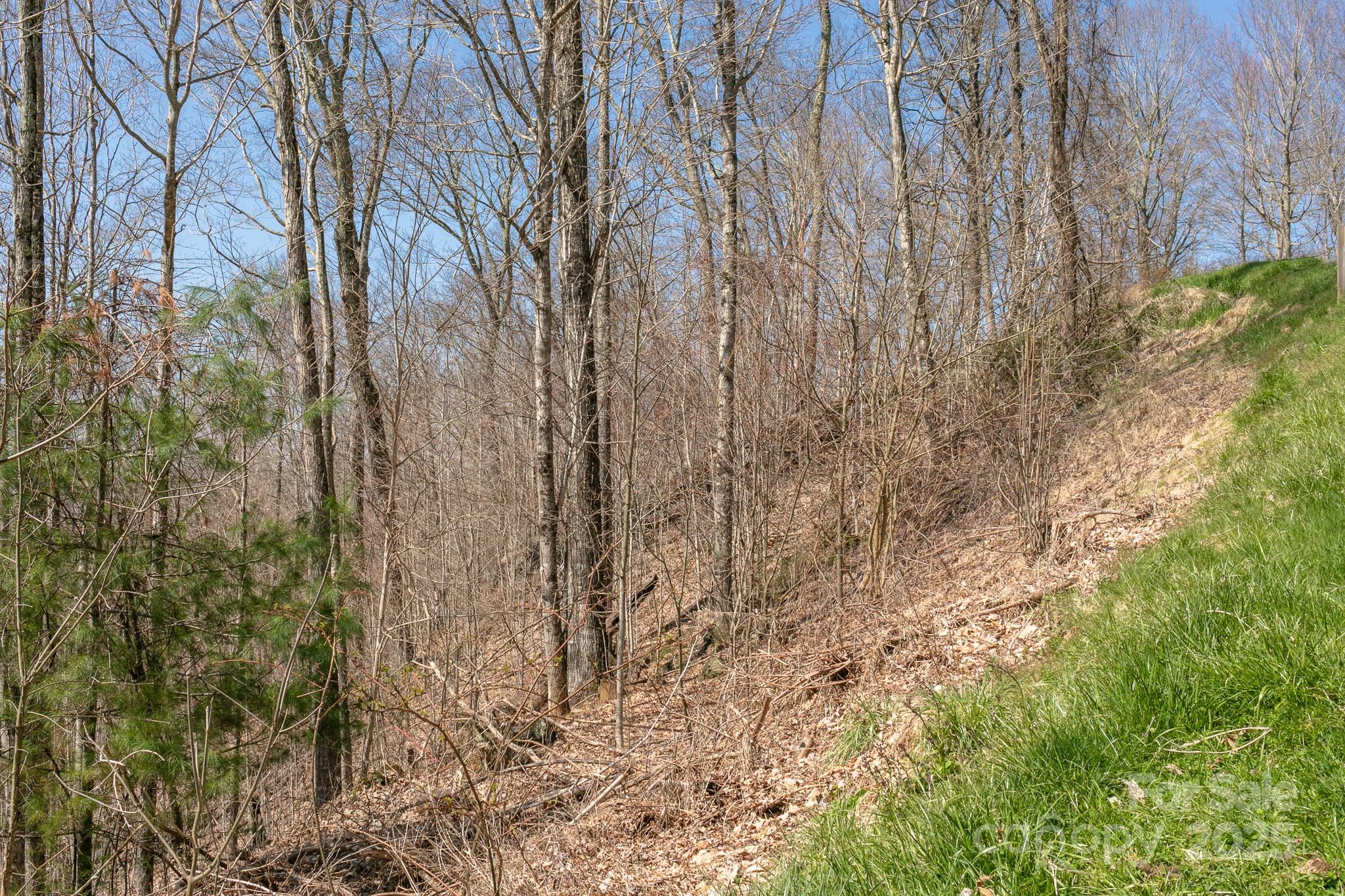 LOT 13 Austin Mountain Drive 13/3 thumbnail image 10