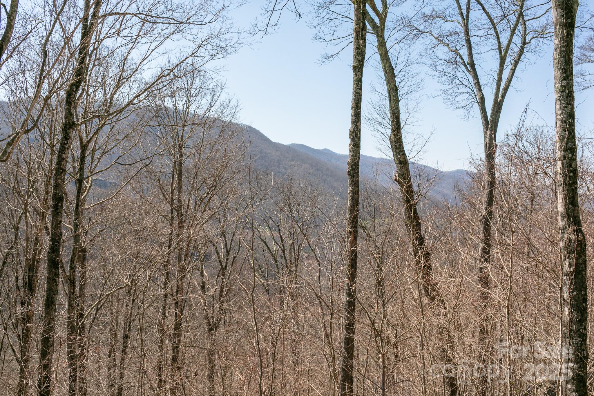 LOT 13 Austin Mountain Drive 13/3 thumbnail image 11