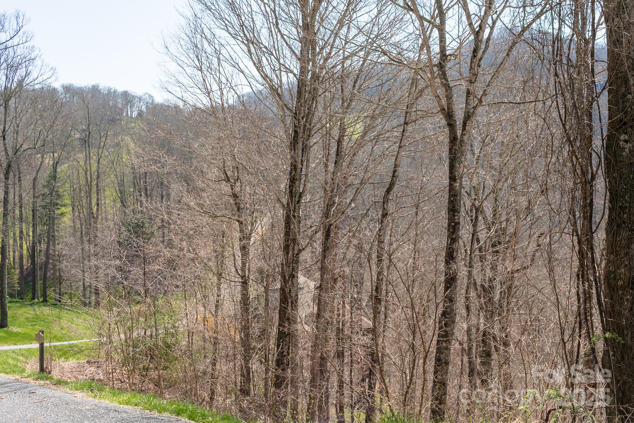 LOT 13 Austin Mountain Drive 13/3 thumbnail image 13