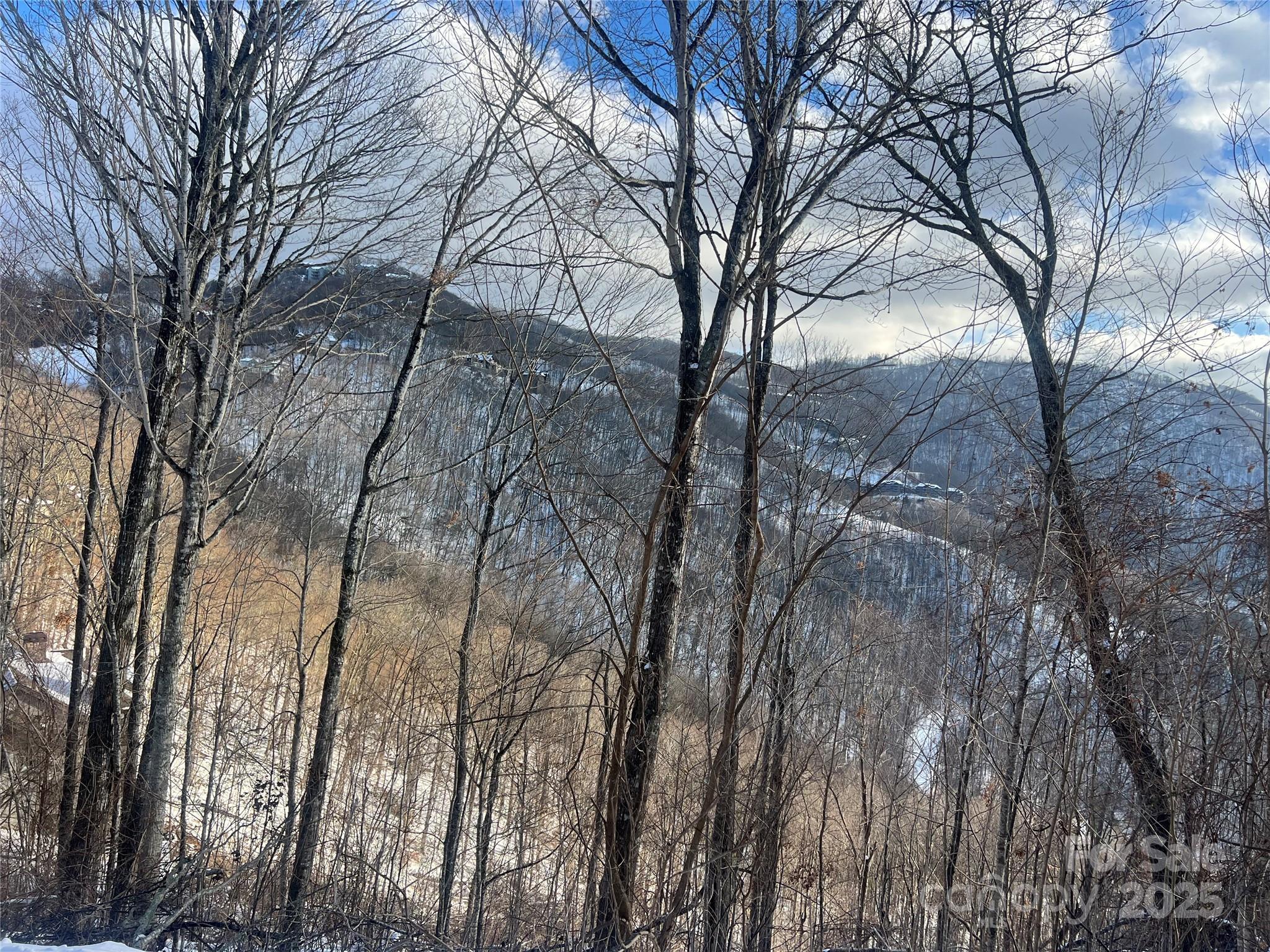 LOT 13 Austin Mountain Drive 13/3 thumbnail image 15