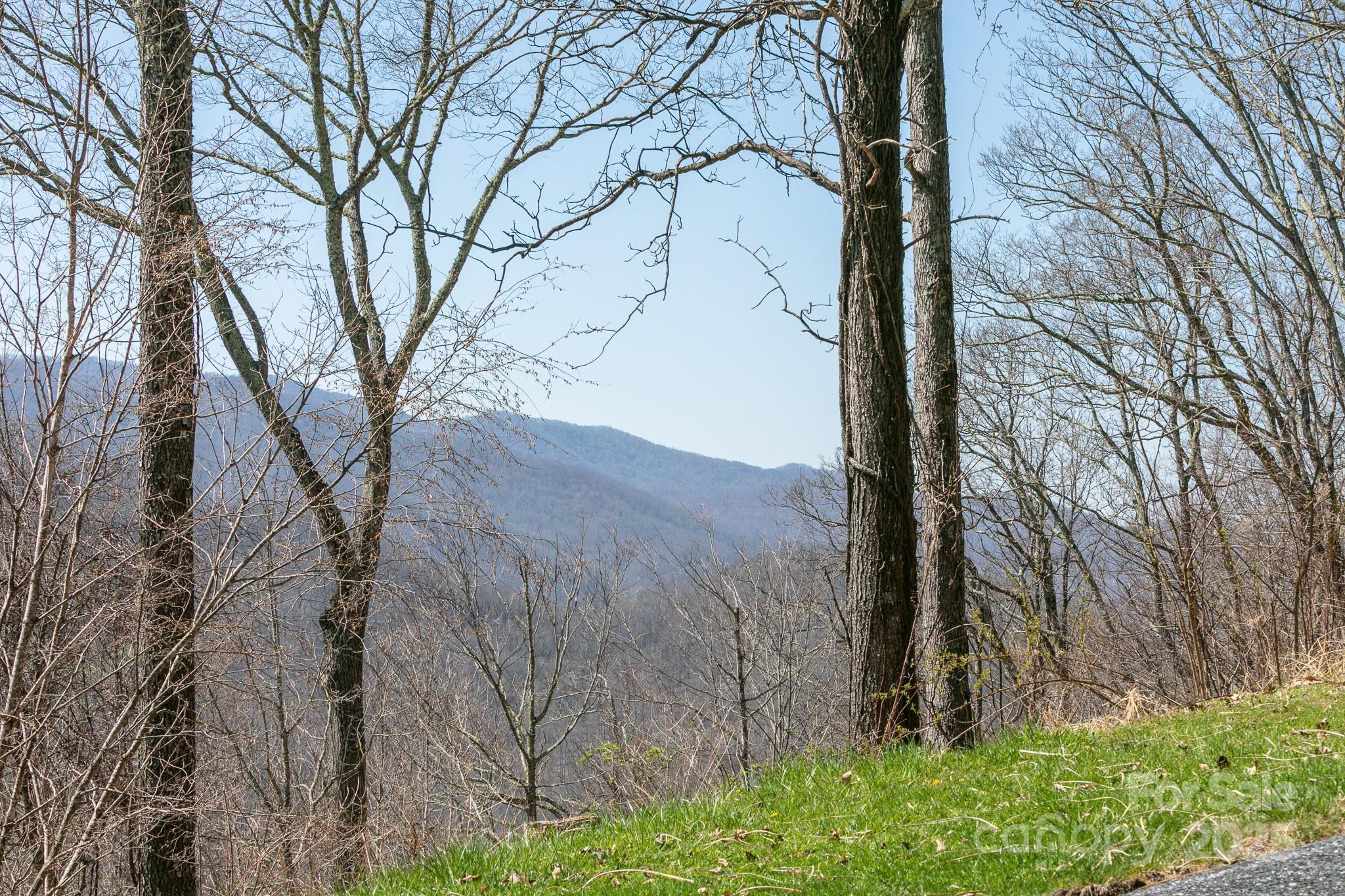 LOT 13 Austin Mountain Drive 13/3 thumbnail image 16