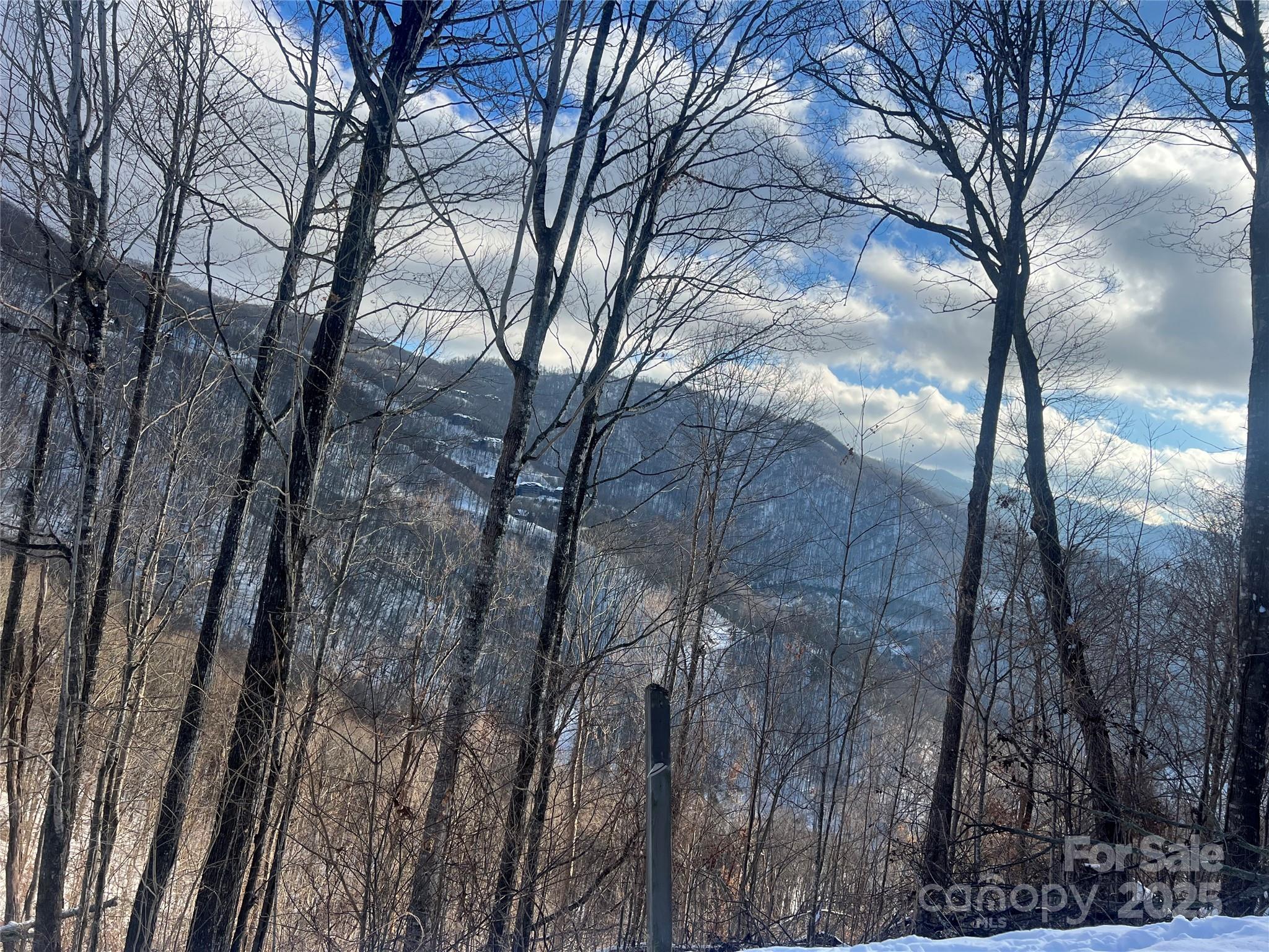 LOT 13 Austin Mountain Drive 13/3 thumbnail image 17