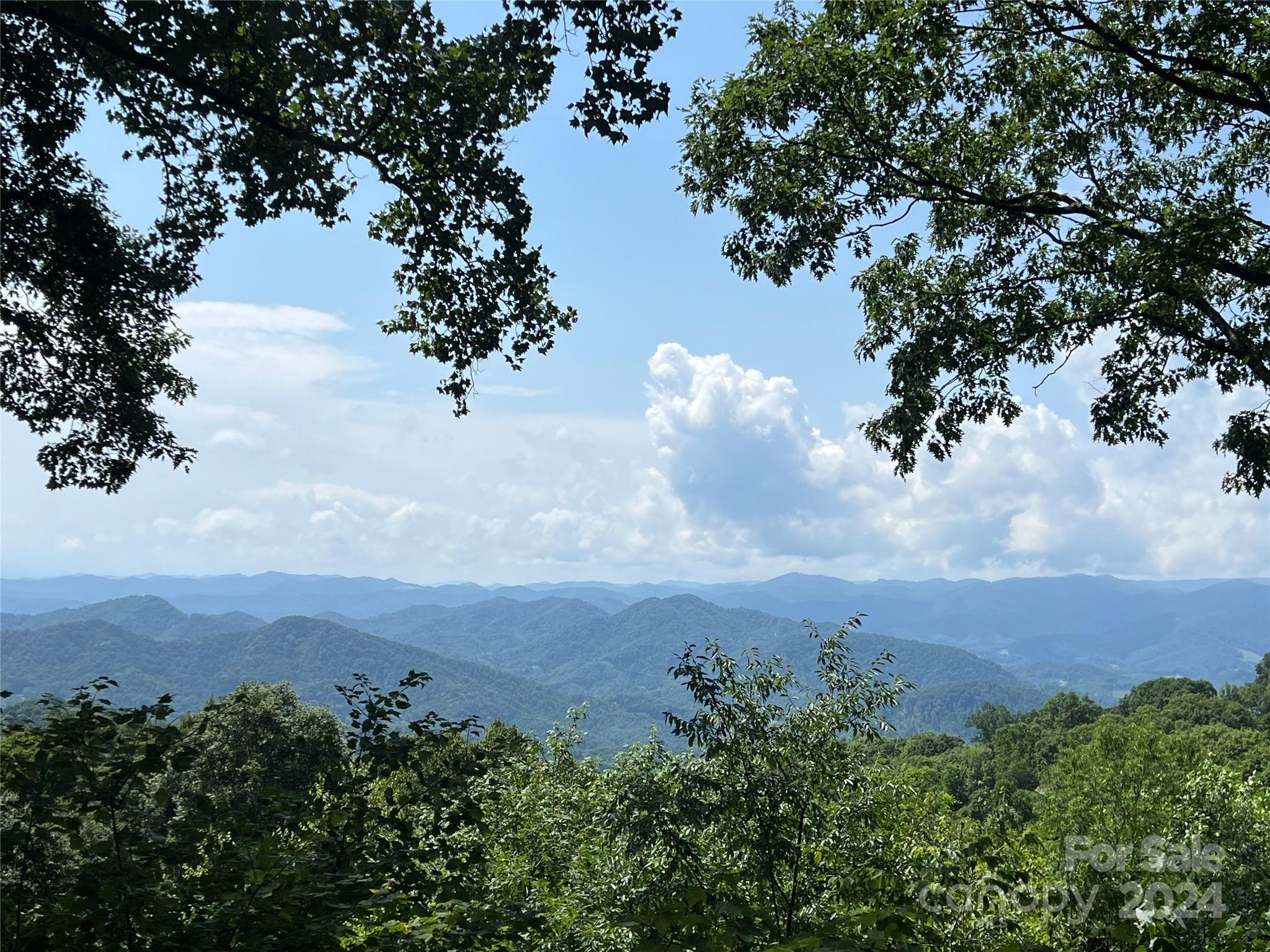 55 Ramp Patch Trail thumbnail image 1