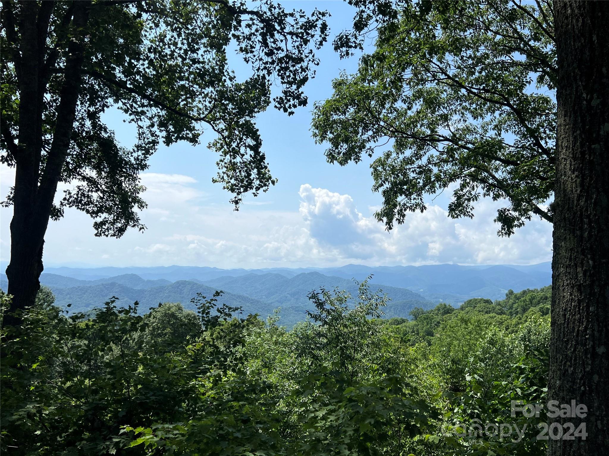 55 Ramp Patch Trail thumbnail image 36