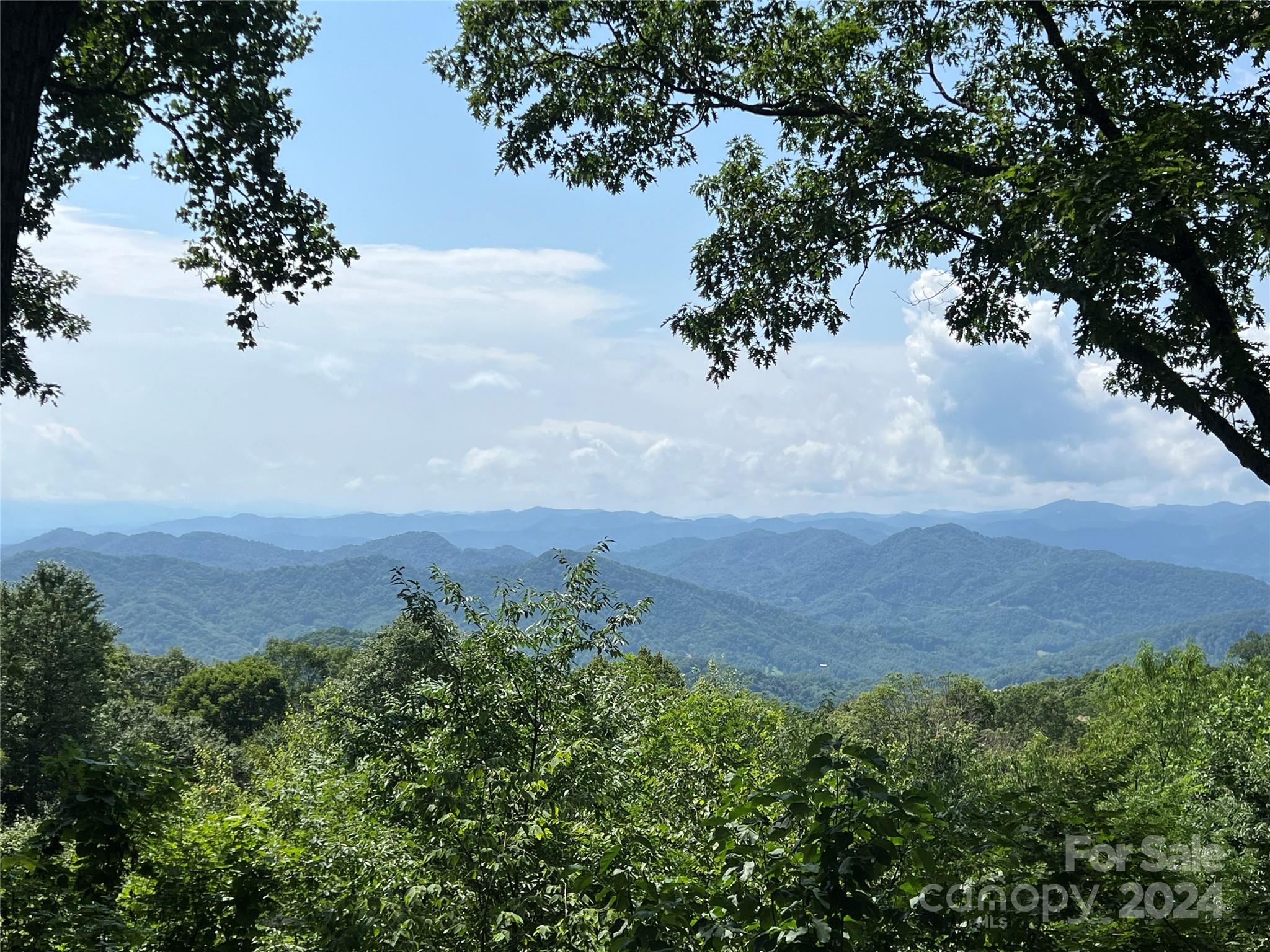 55 Ramp Patch Trail thumbnail image 38