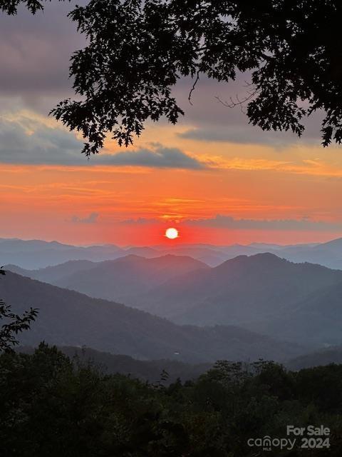 55 Ramp Patch Trail thumbnail image 41