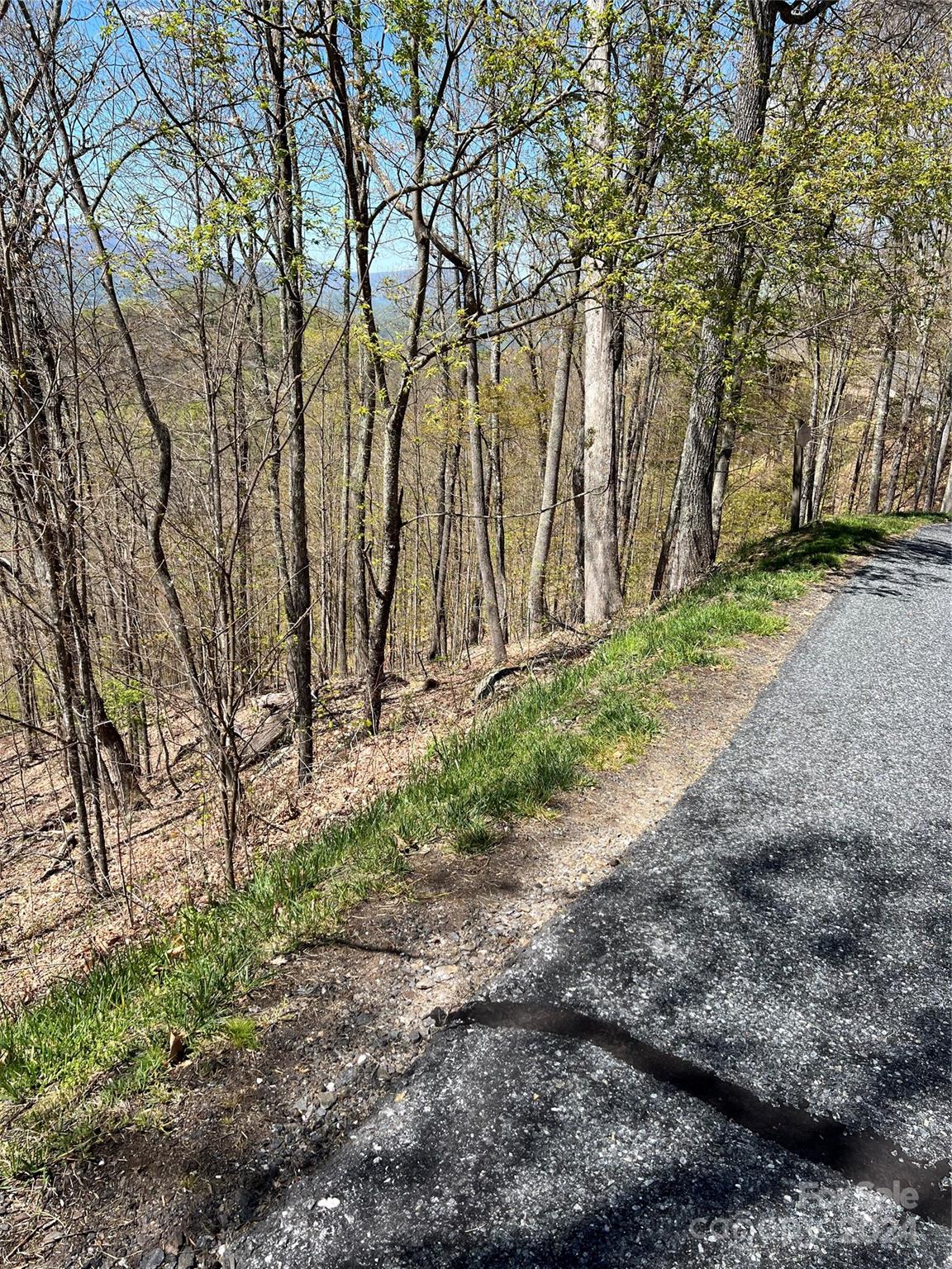 Lot 16 Ball Hooter Drive thumbnail image 1