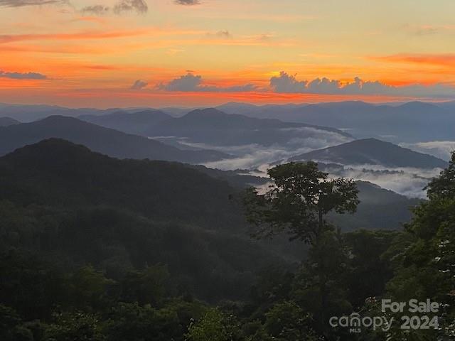 Lot 16 Ball Hooter Drive thumbnail image 3