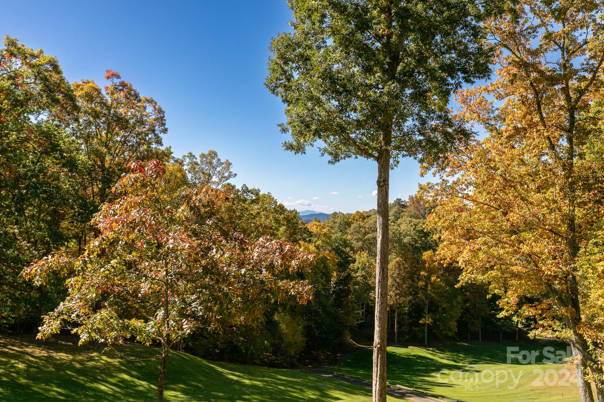 107 Smokehouse Way thumbnail image 19