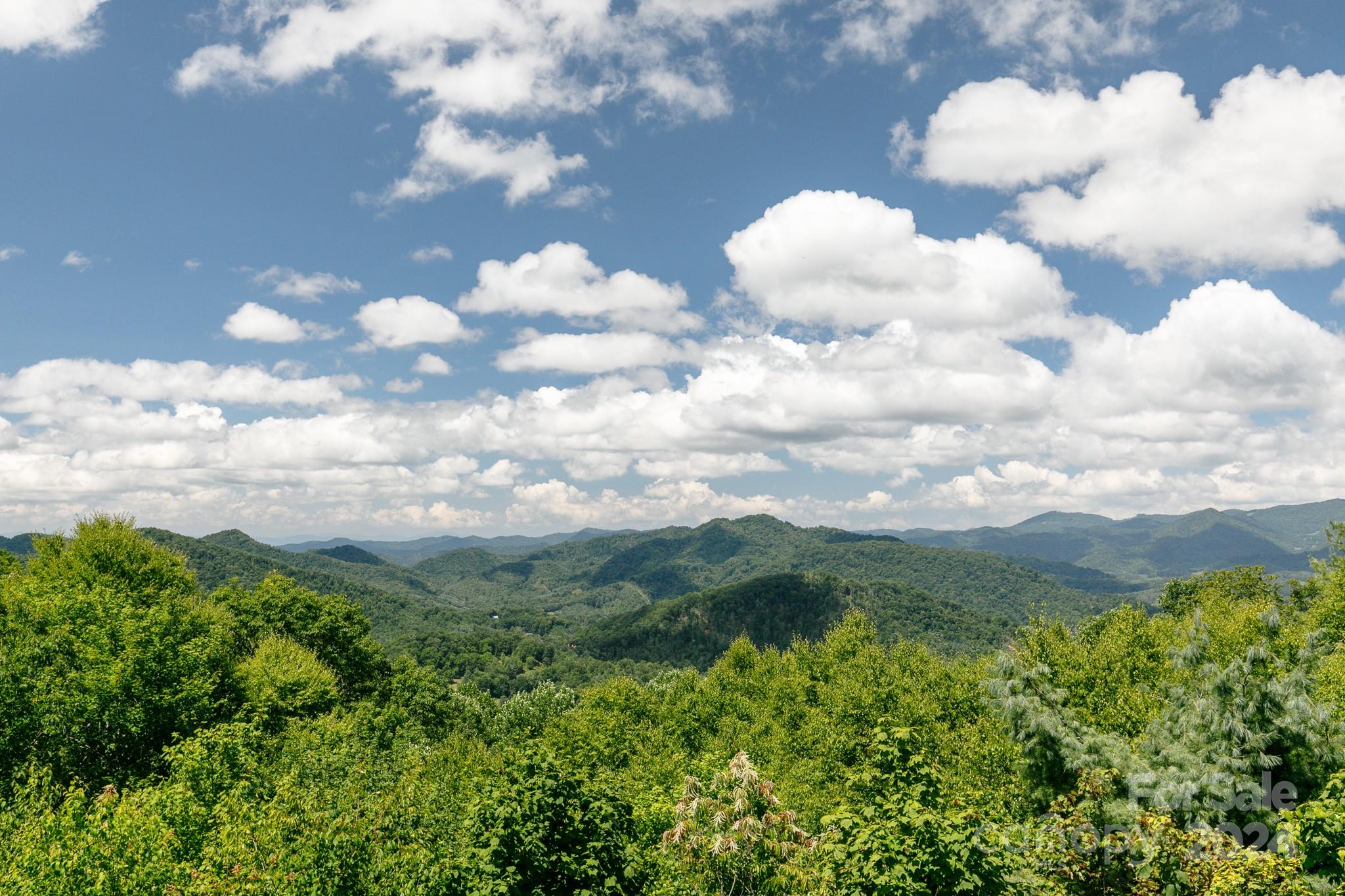 105 Rocky Knob Road thumbnail image 20
