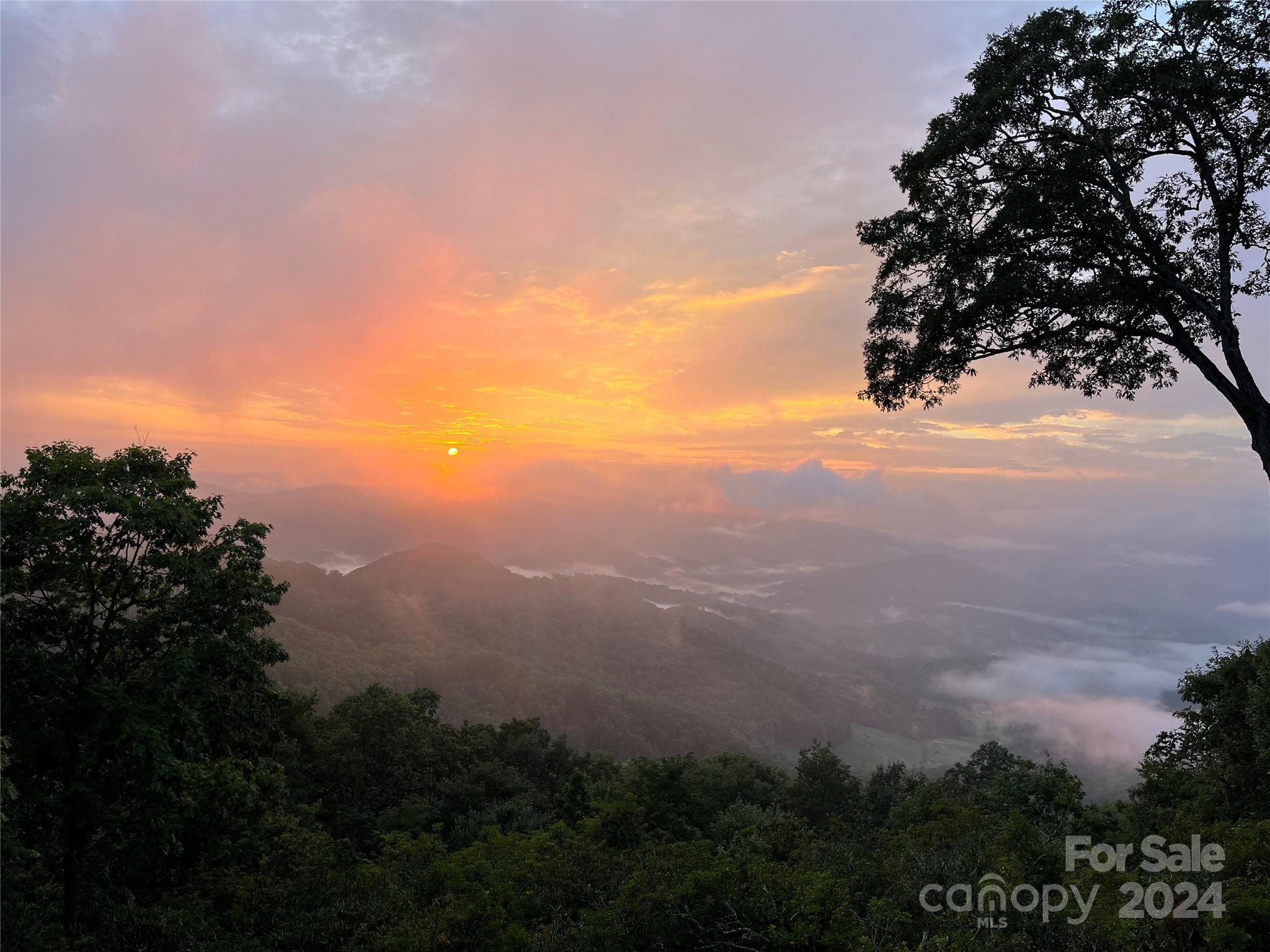 268 Sunset Point Road A/3 thumbnail image 44