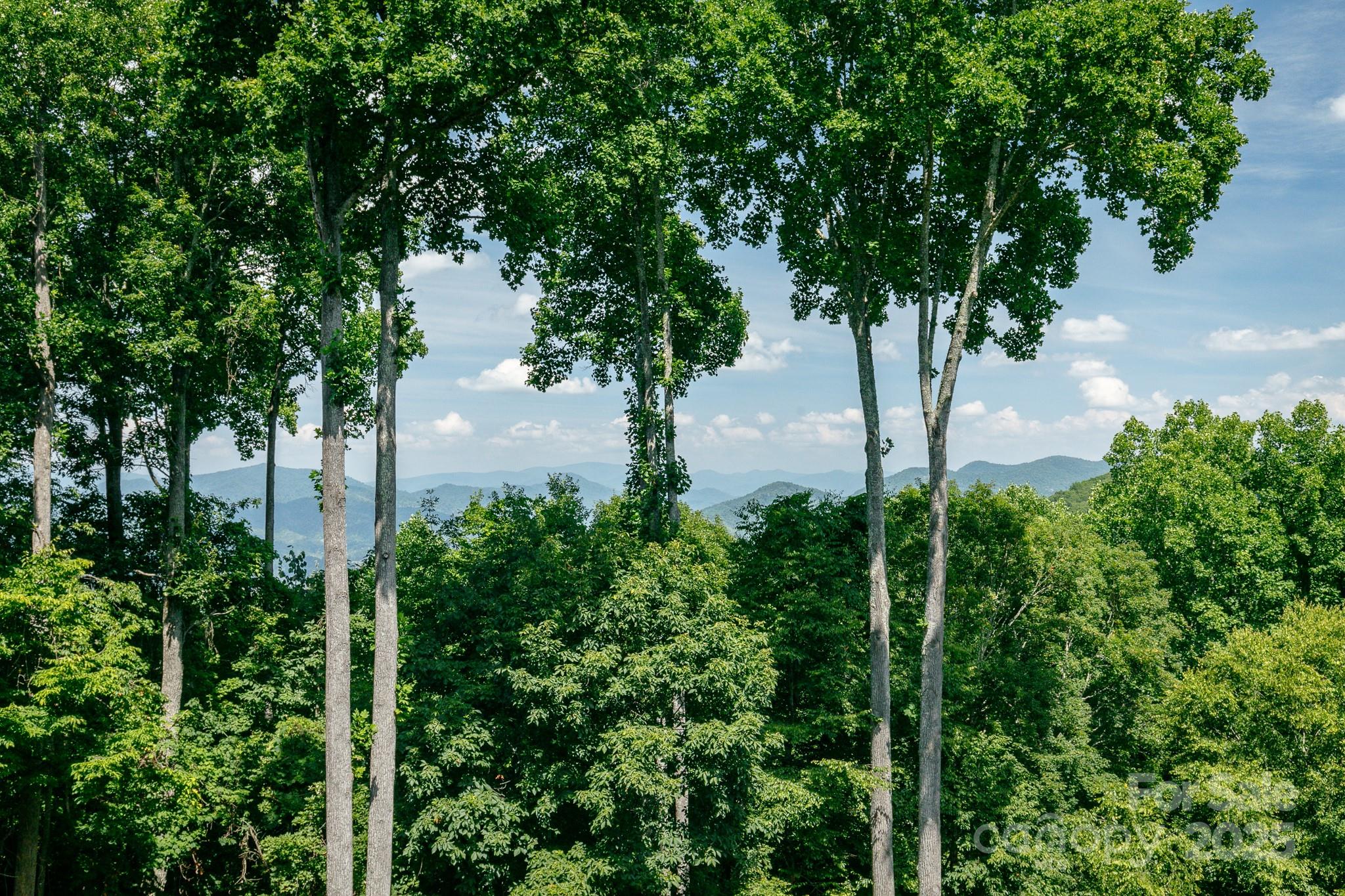 410 Springhouse Drive thumbnail image 3