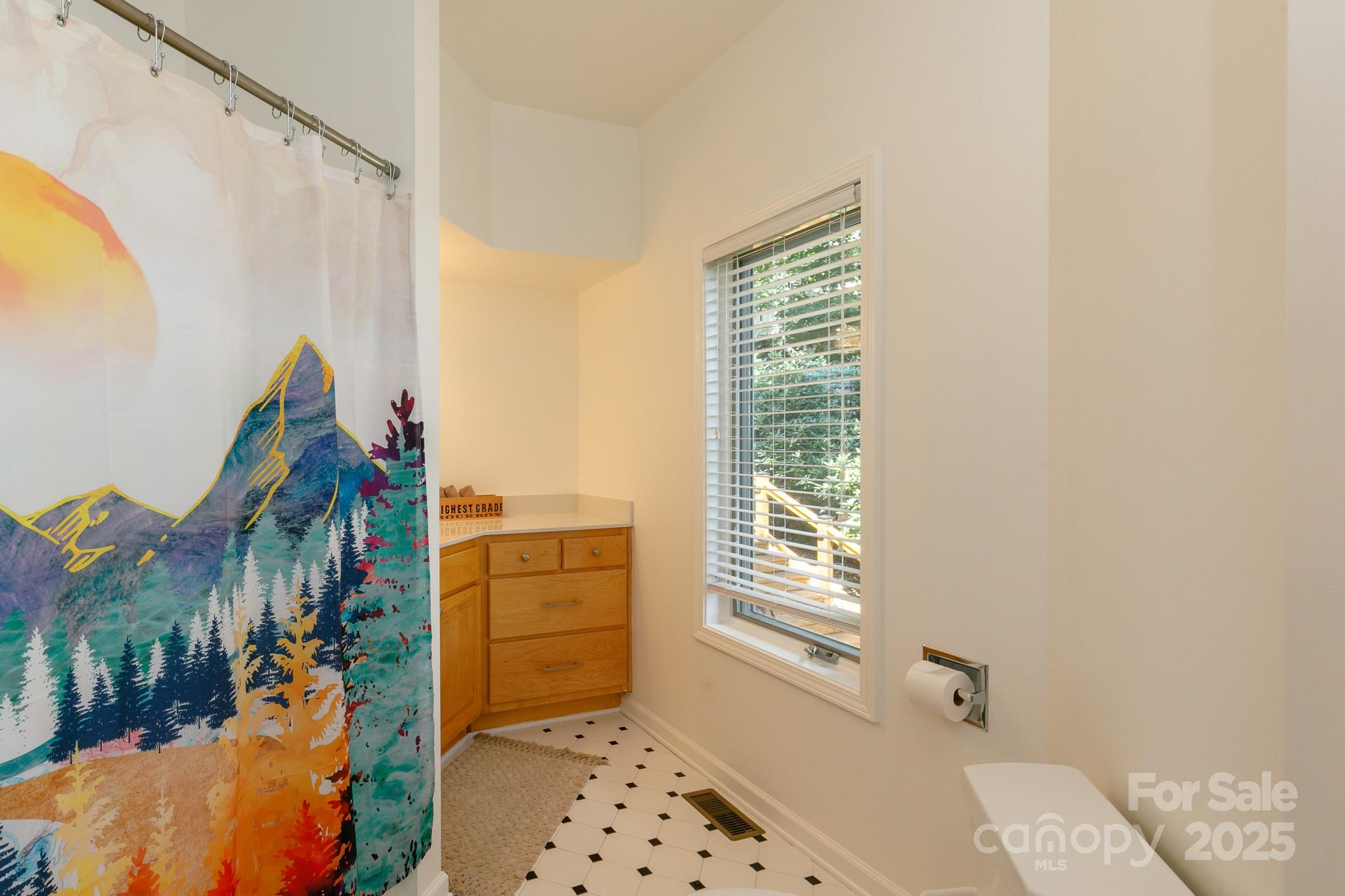 410 Springhouse Drive thumbnail image 34