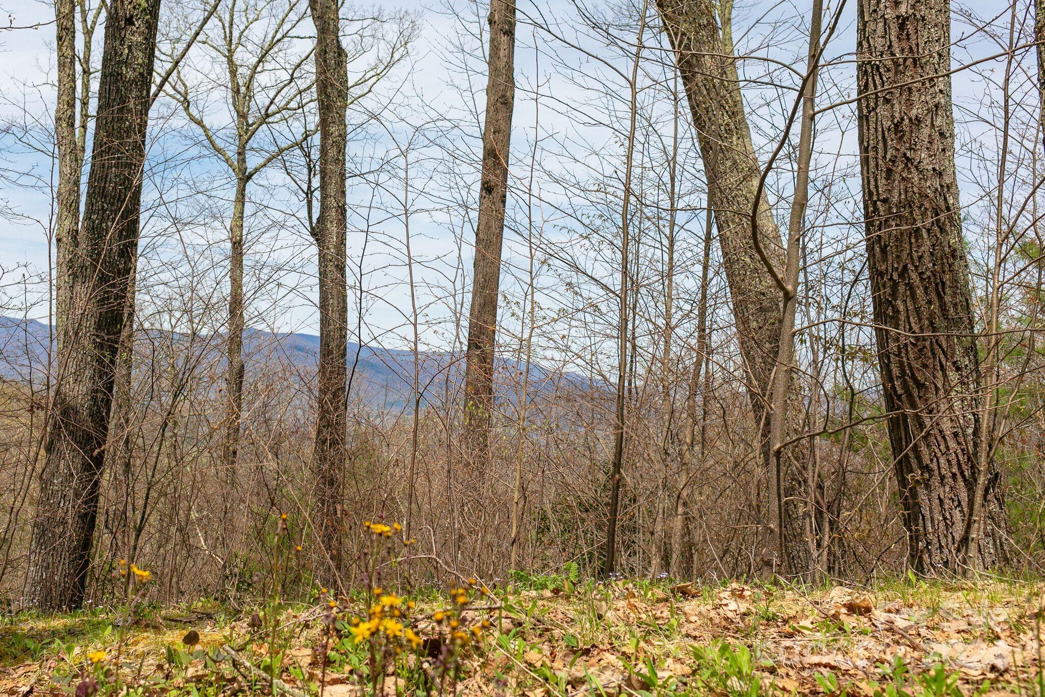 Lot 12 Heritage Ridge Loop 12/4 thumbnail image 5