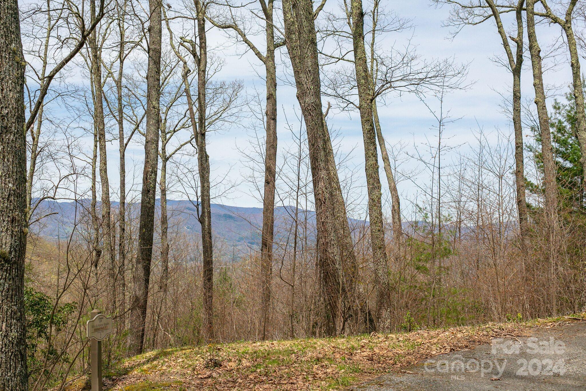 Lot 12 Heritage Ridge Loop 12/4 thumbnail image 7