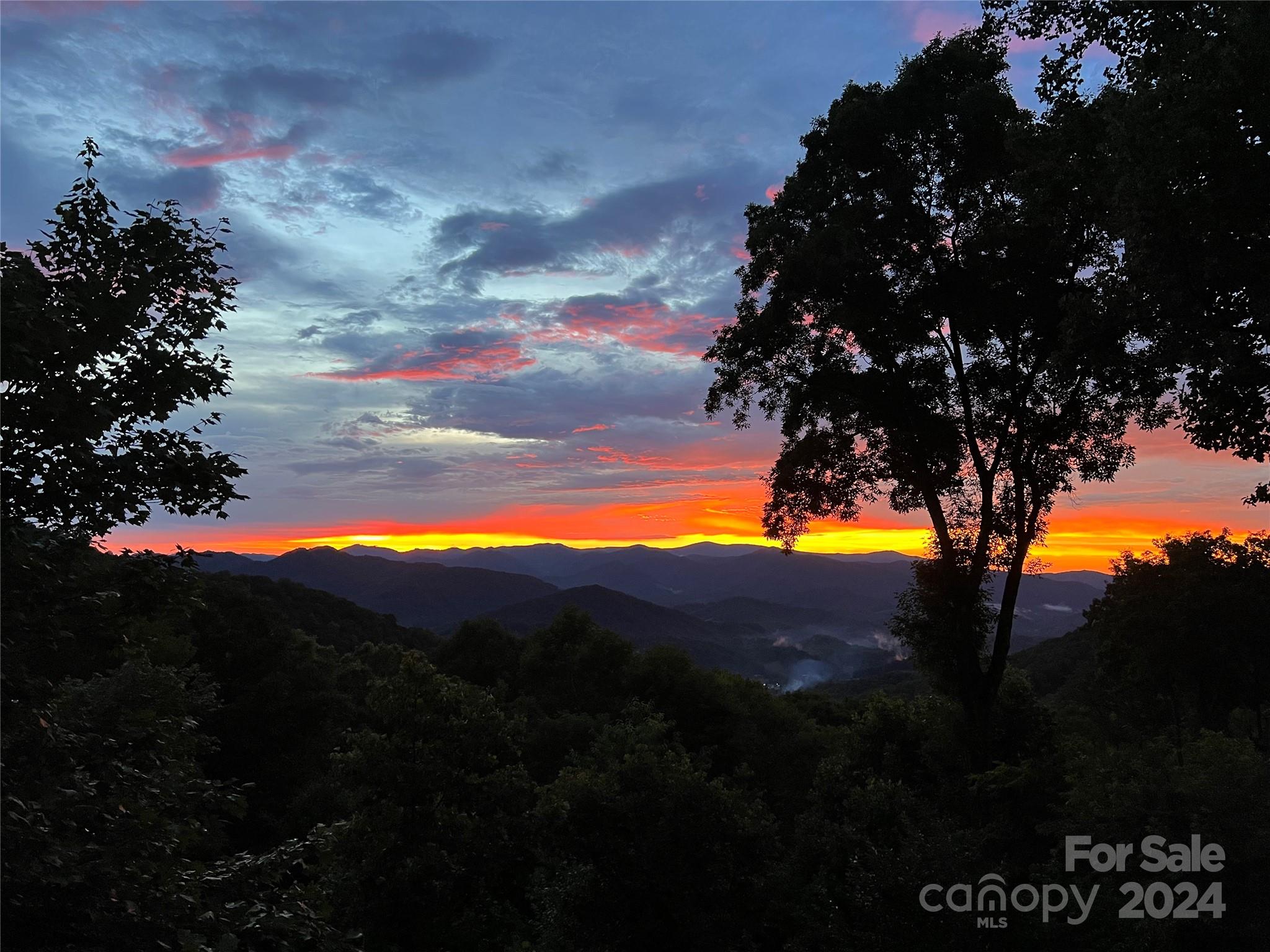 755 Andrew Banks Road thumbnail image 1