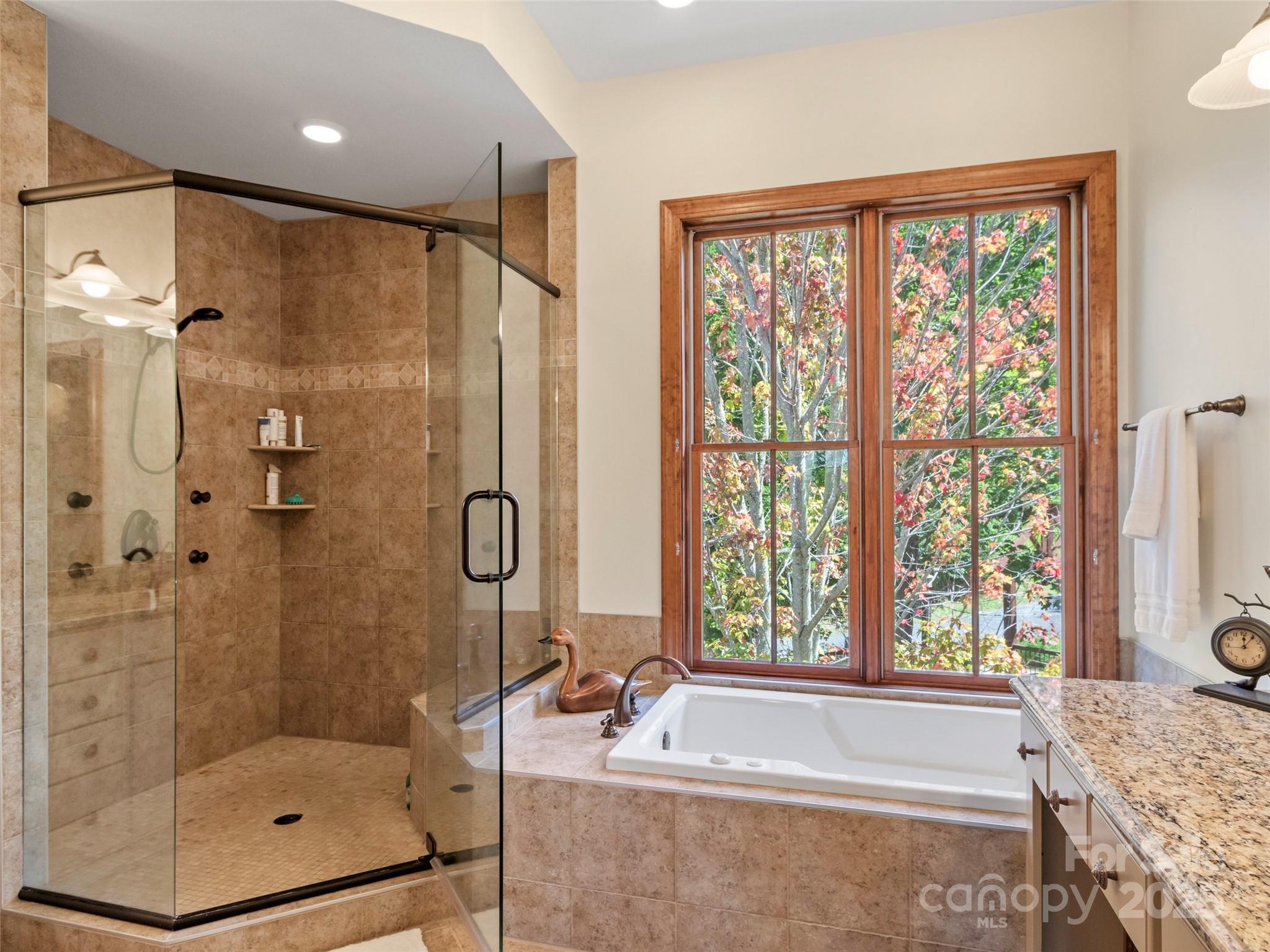 224 Logging Horse Road C/301 thumbnail image 20