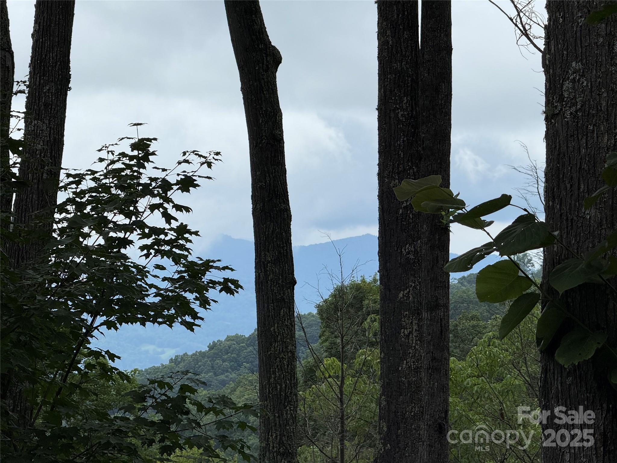 528 Andrew Banks Road A/3 thumbnail image 31