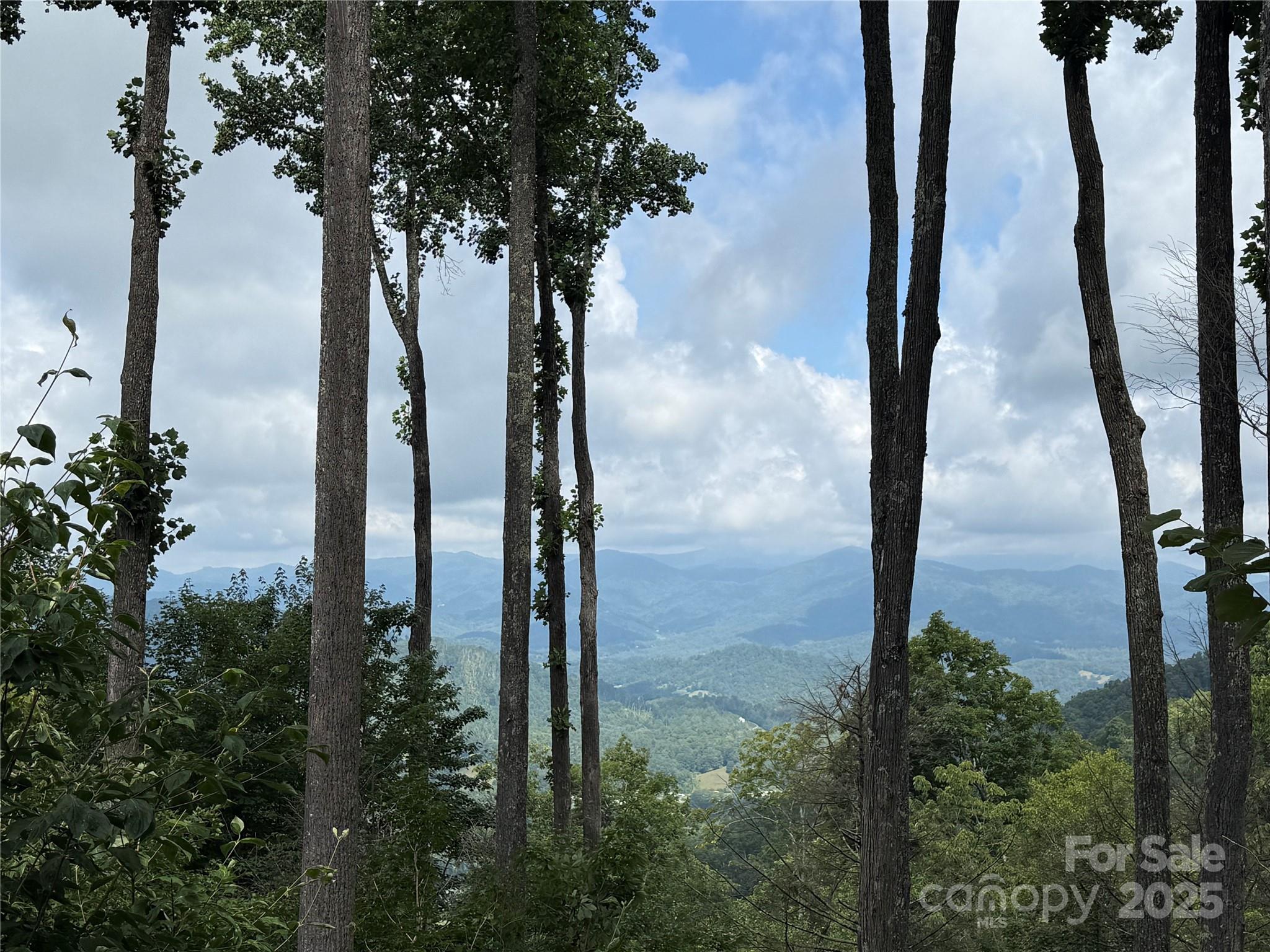 528 Andrew Banks Road A/3 thumbnail image 2