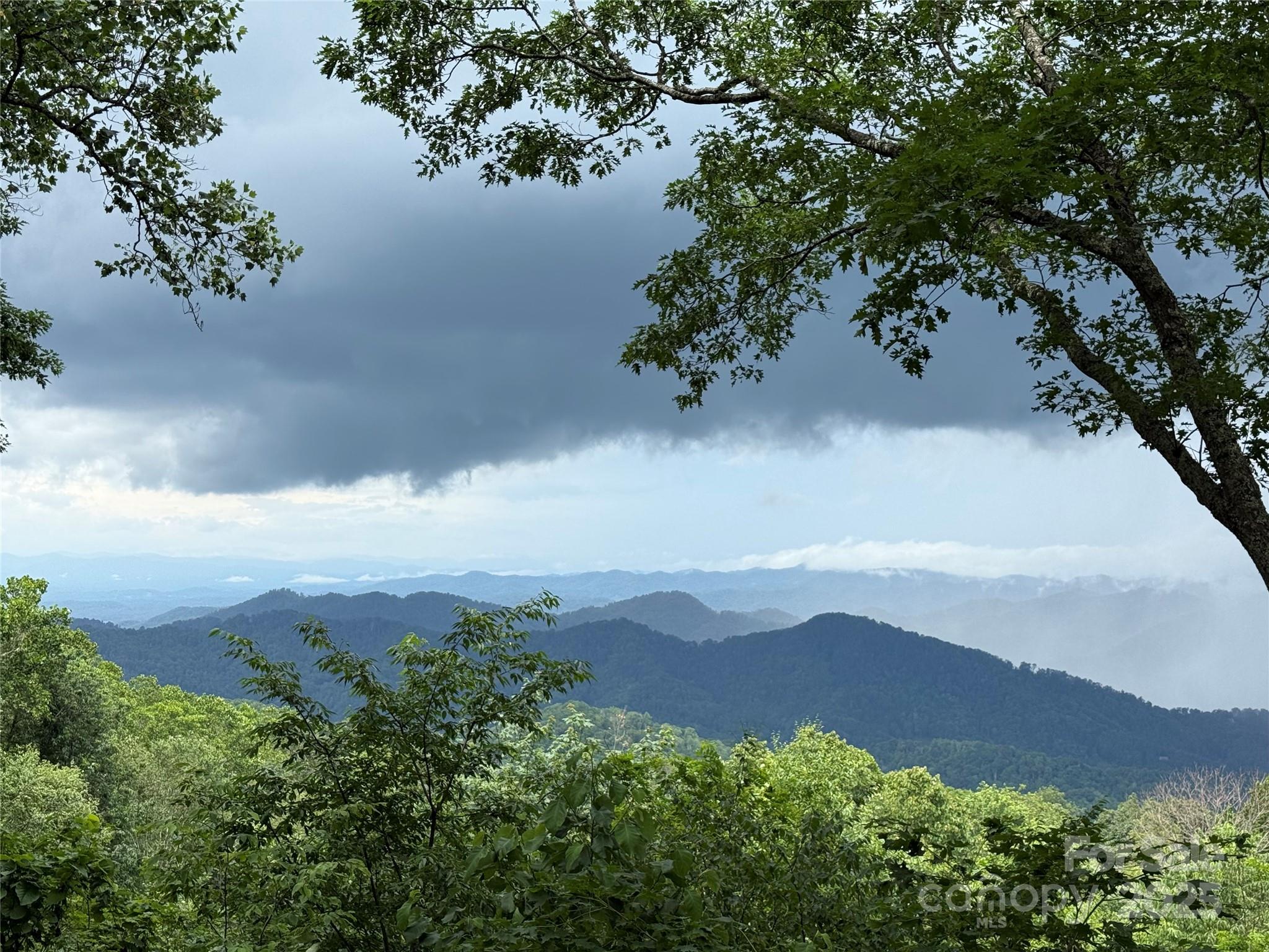 55 Ramp Patch Trail thumbnail image 41