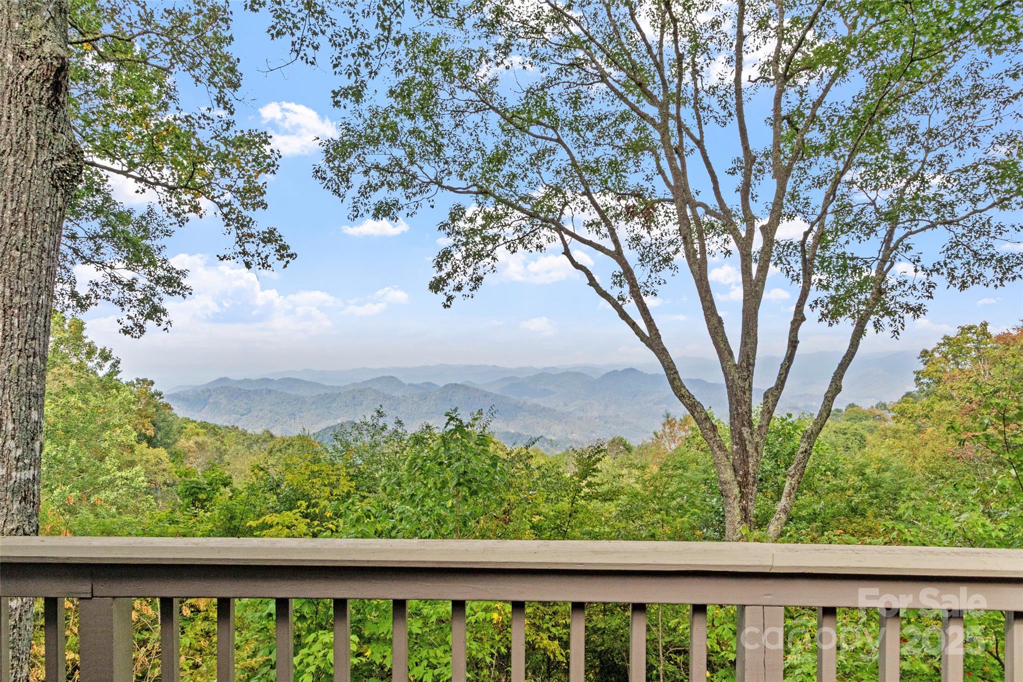 55 Ramp Patch Trail thumbnail image 3