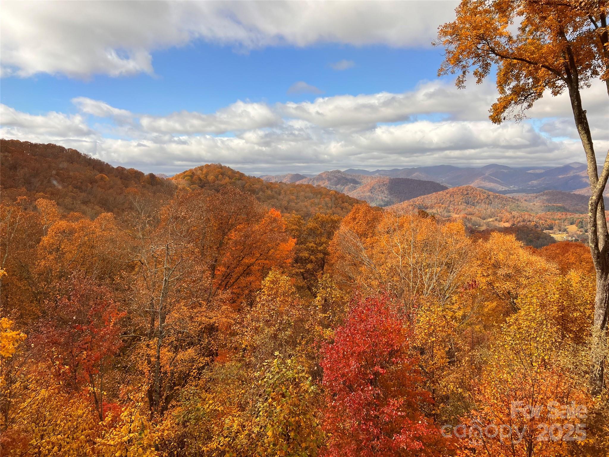 755 Andrew Banks Road thumbnail image 43