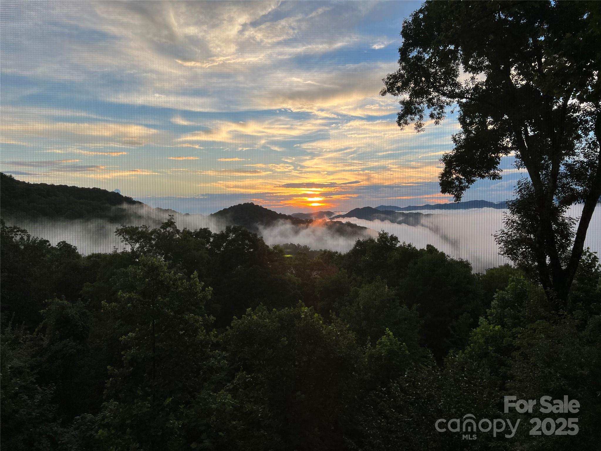 755 Andrew Banks Road thumbnail image 46