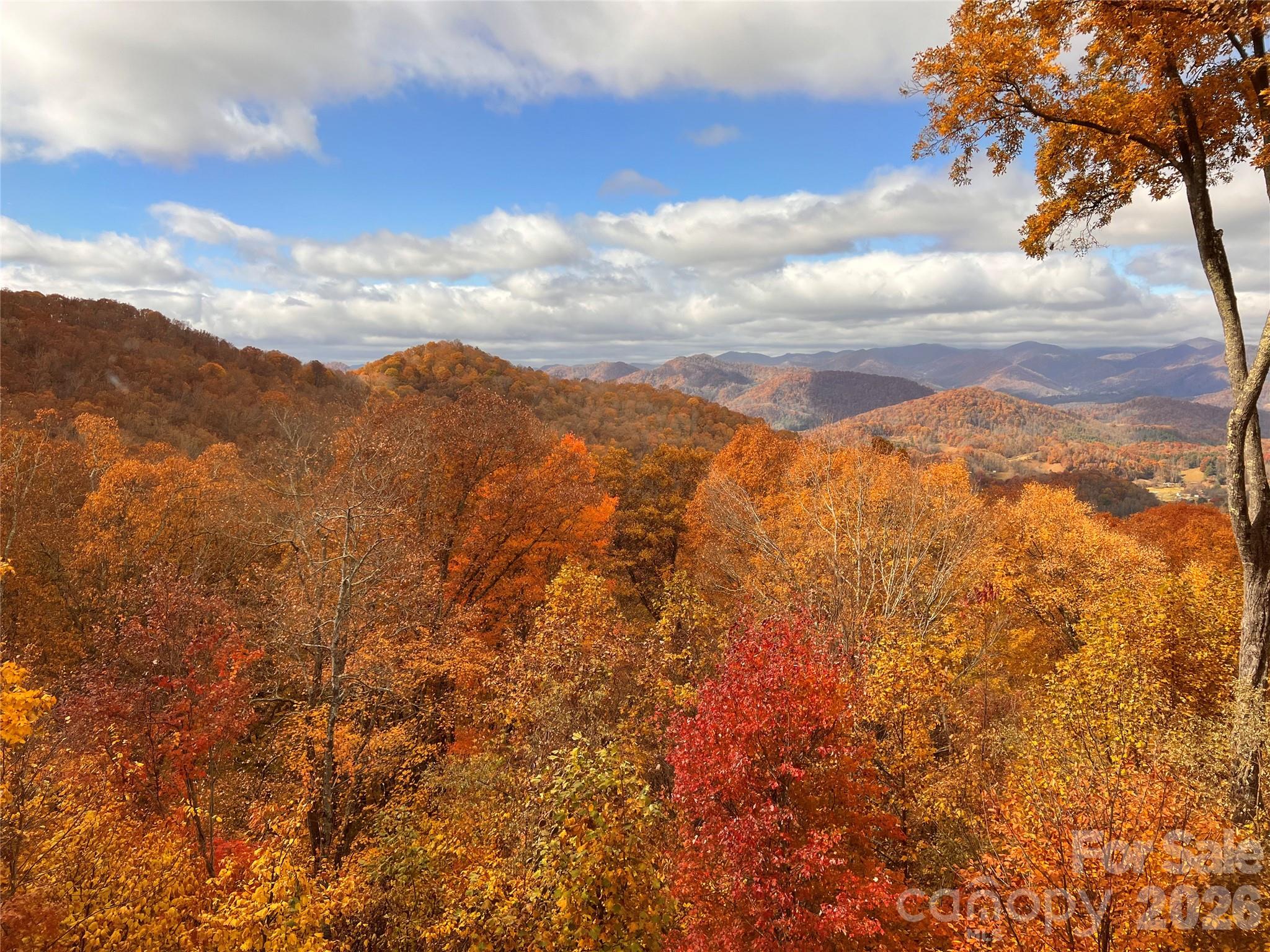 755 Andrew Banks Road thumbnail image 43