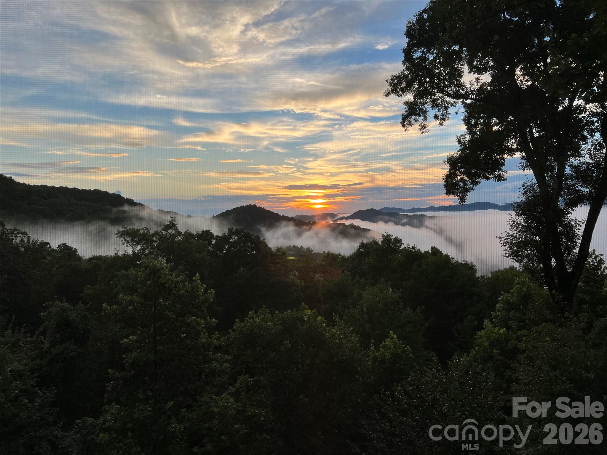 755 Andrew Banks Road thumbnail image 46