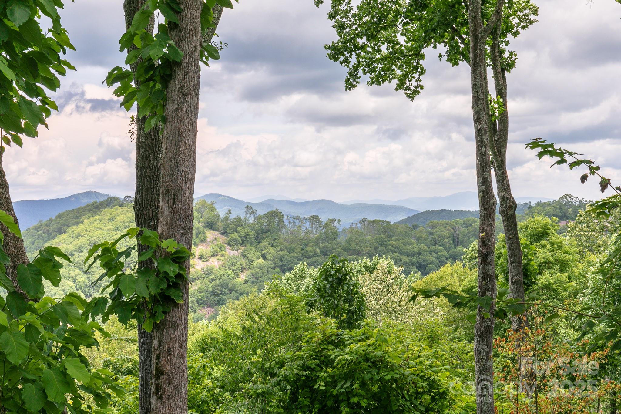 456 Spring House Drive thumbnail image 1