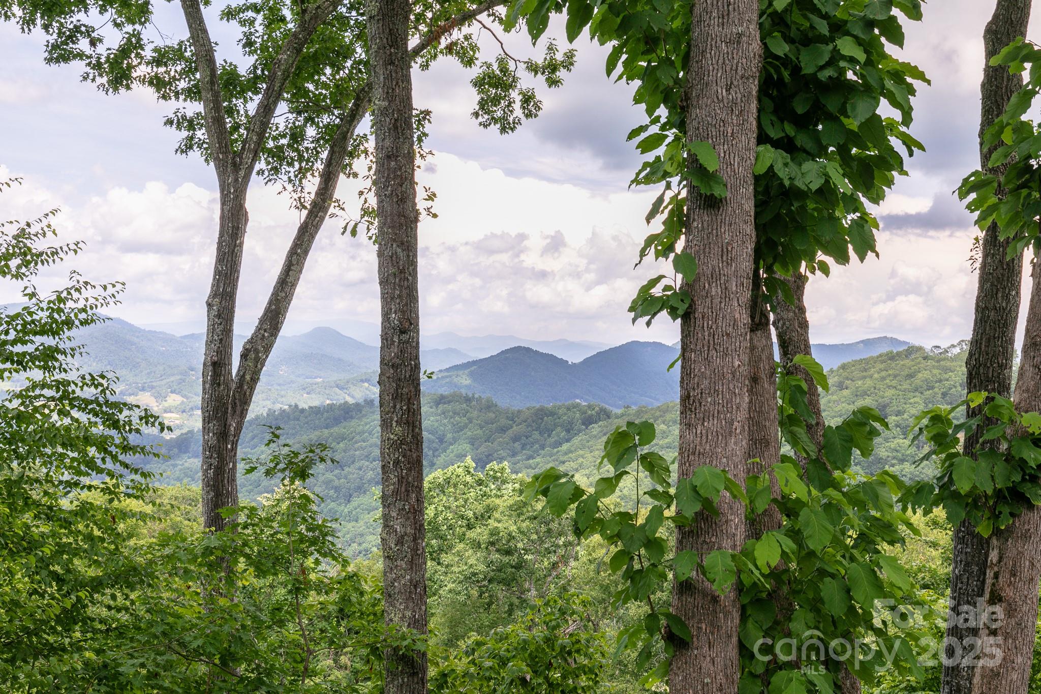 456 Spring House Drive thumbnail image 13