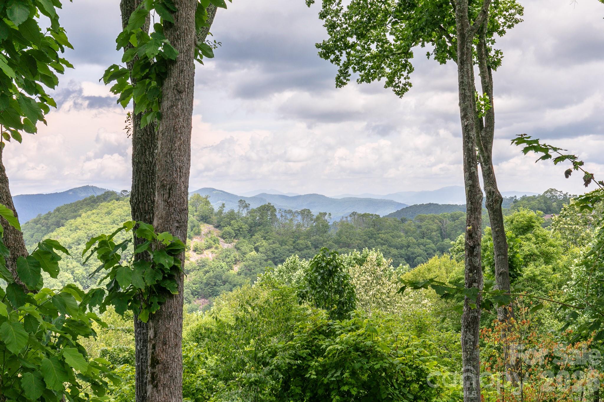 456 Spring House Drive thumbnail image 2