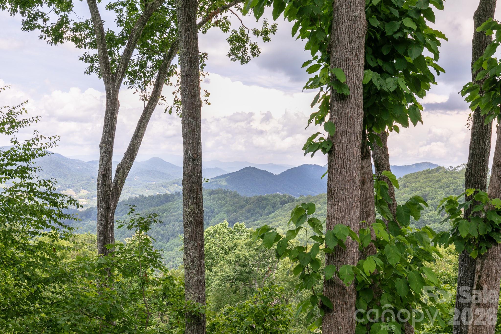 456 Spring House Drive thumbnail image 18