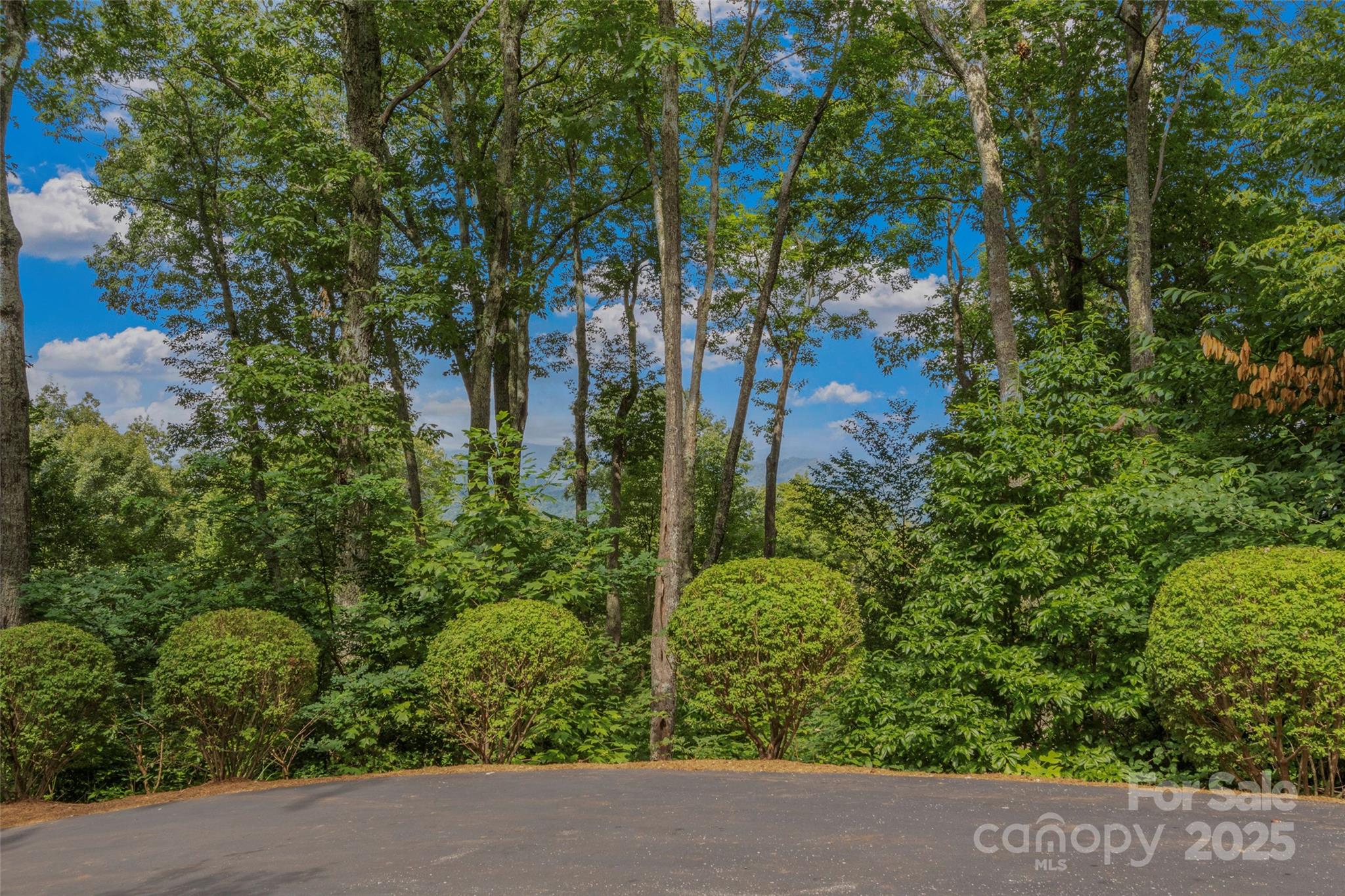 321 Sunset Point Road thumbnail image 41