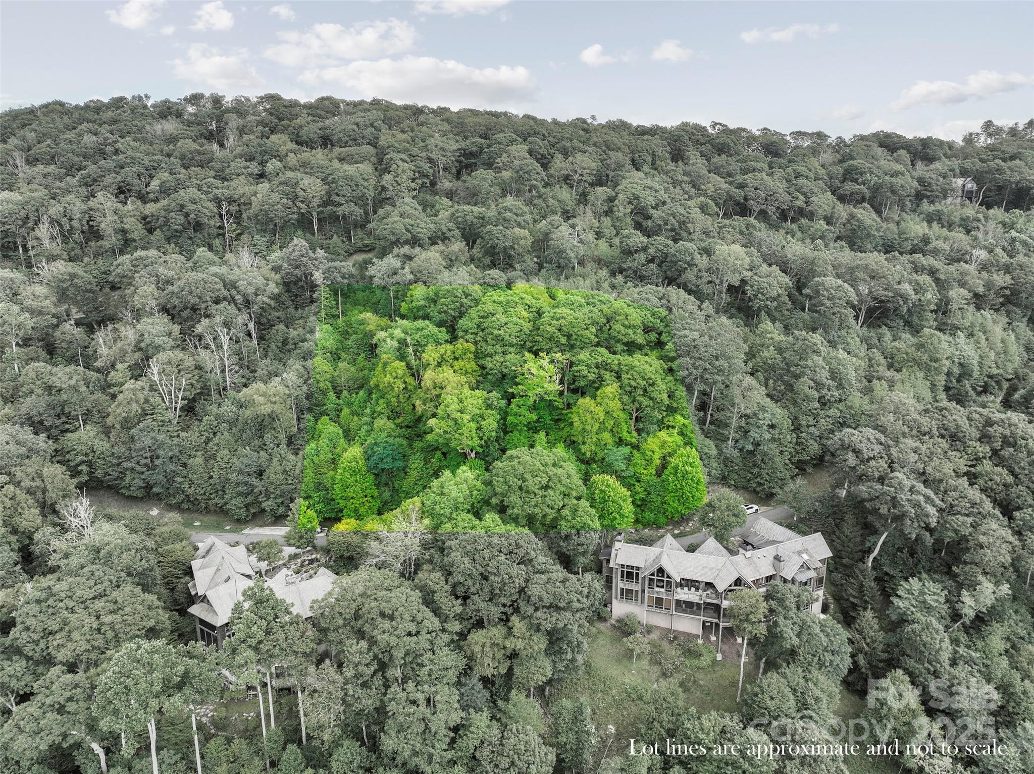 Lot 9 Wormy Chestnut Road thumbnail image 13