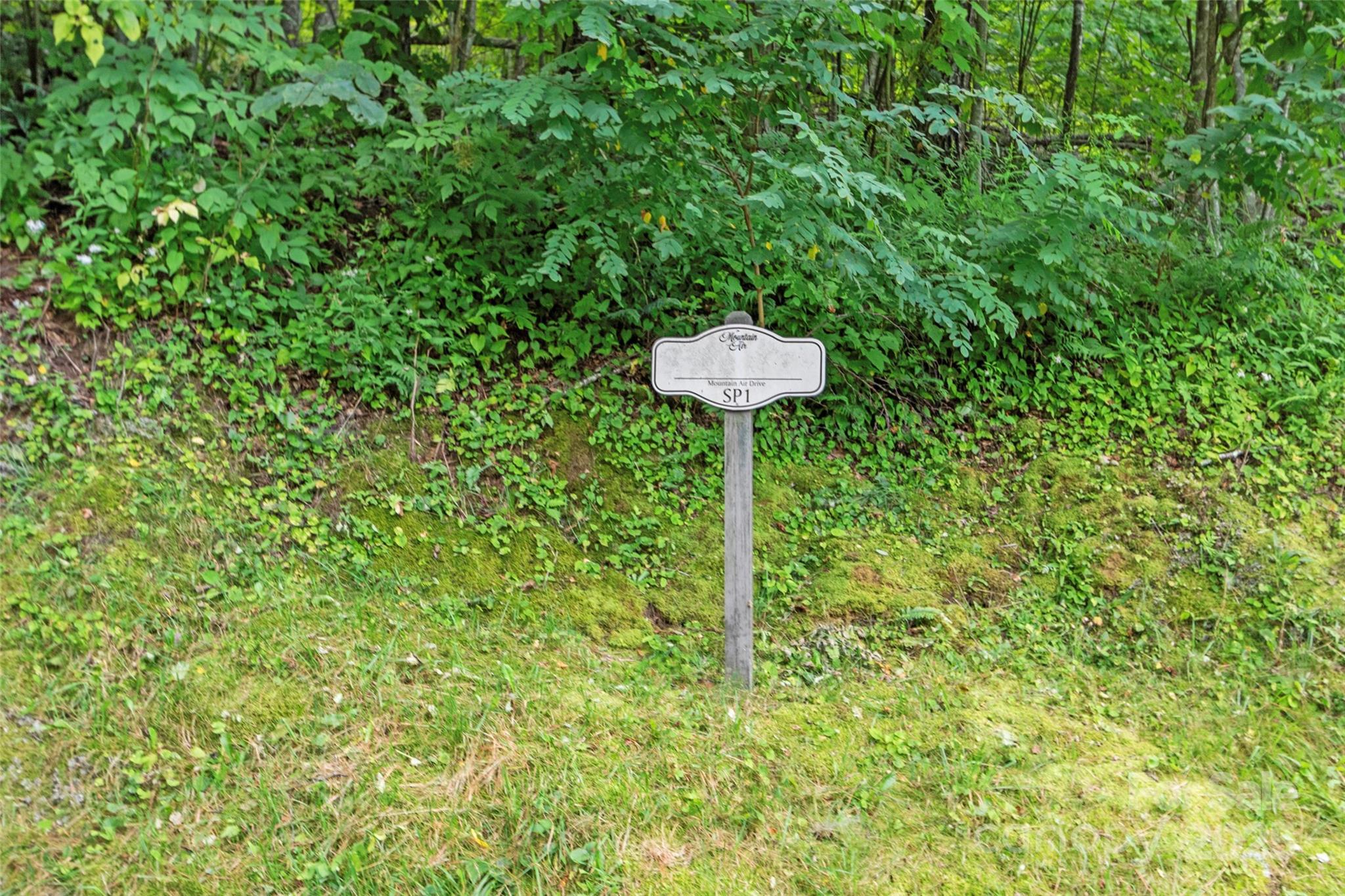 Special Parcel 1 Mountain Air Drive thumbnail image 3