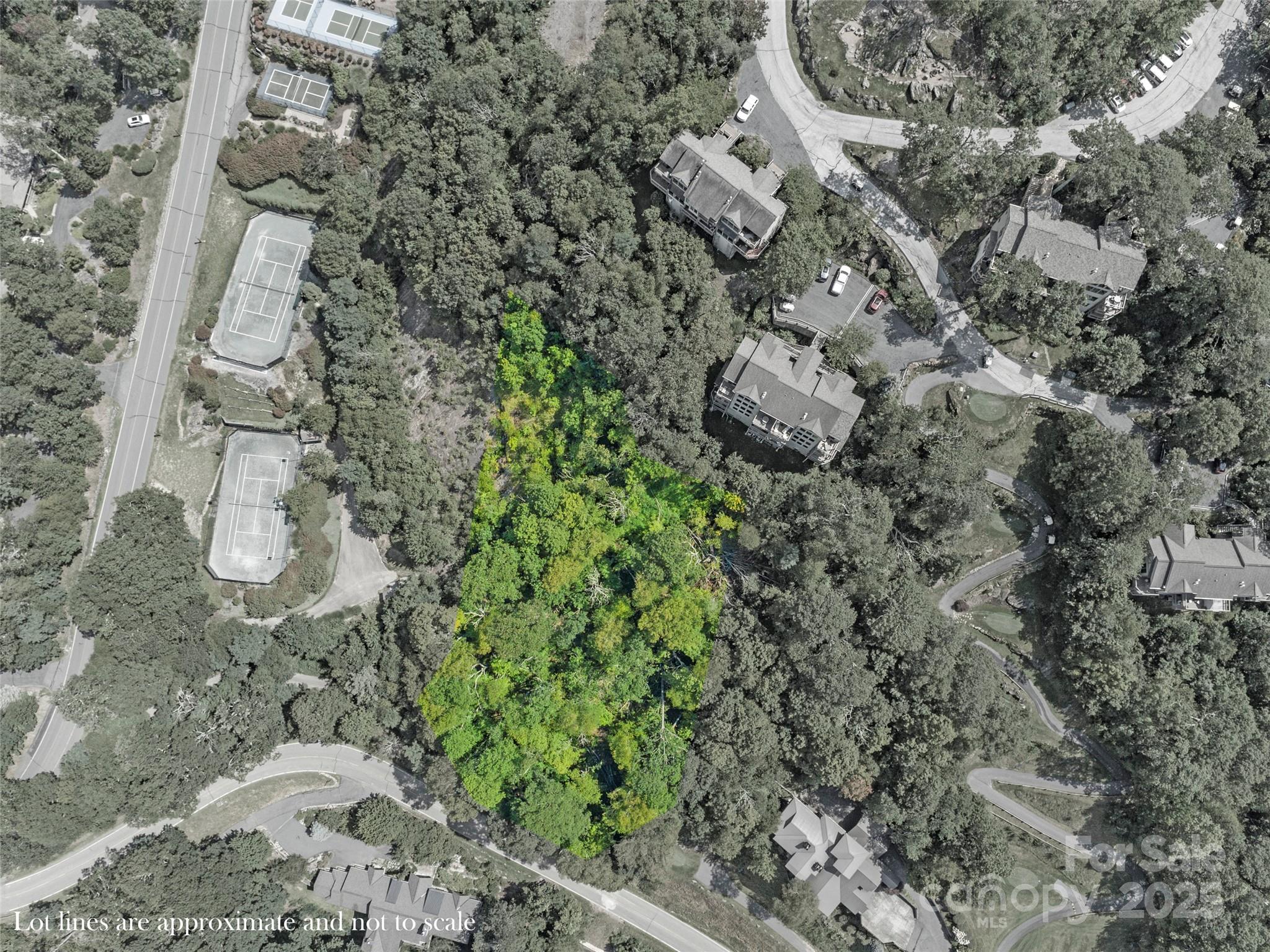 Special Parcel 1 Mountain Air Drive thumbnail image 10