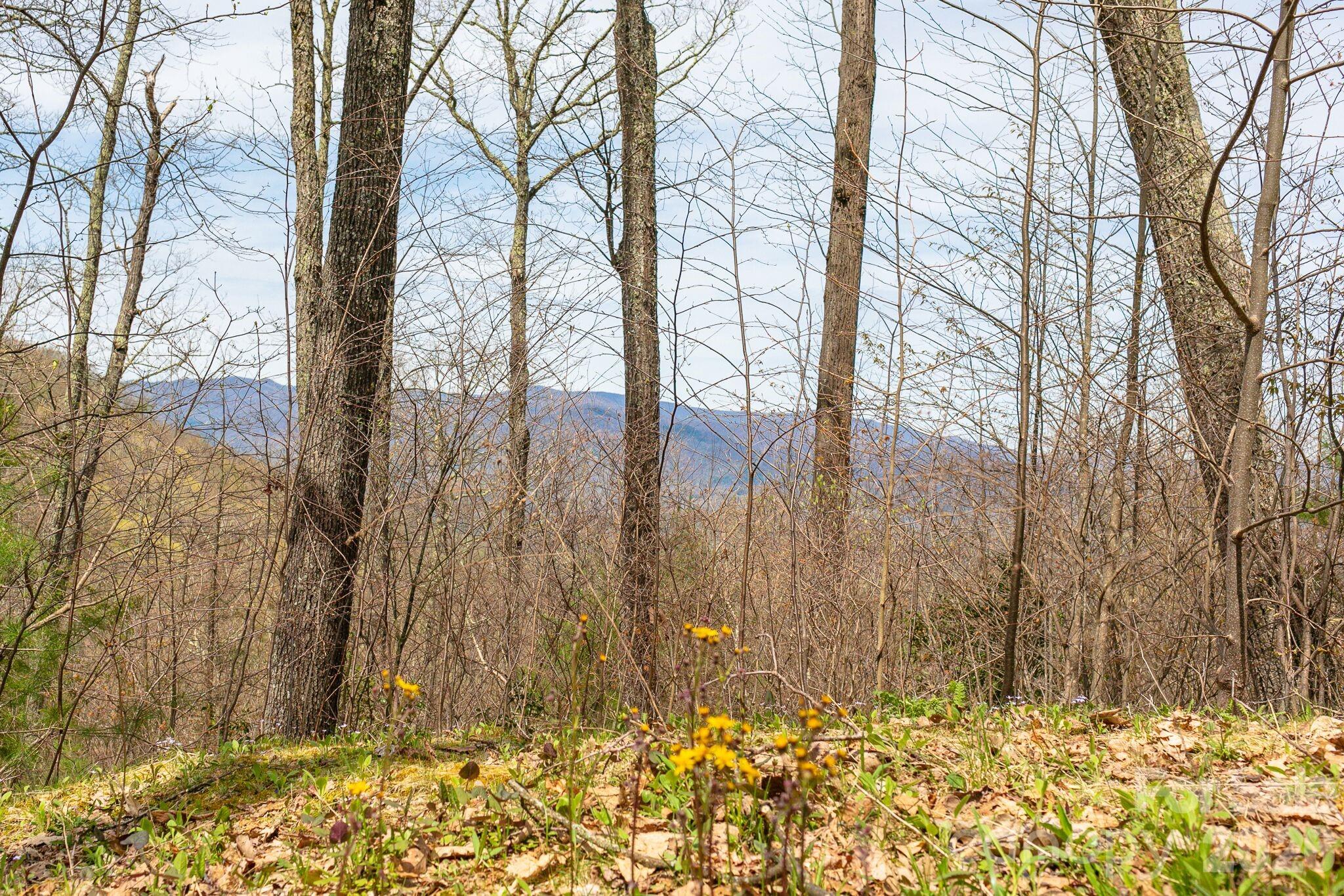 Lot 2 Heritage Ridge Loop thumbnail image 2