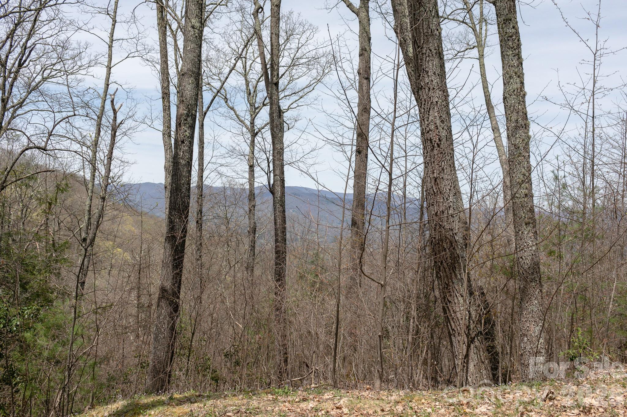 Lot 2 Heritage Ridge Loop thumbnail image 4
