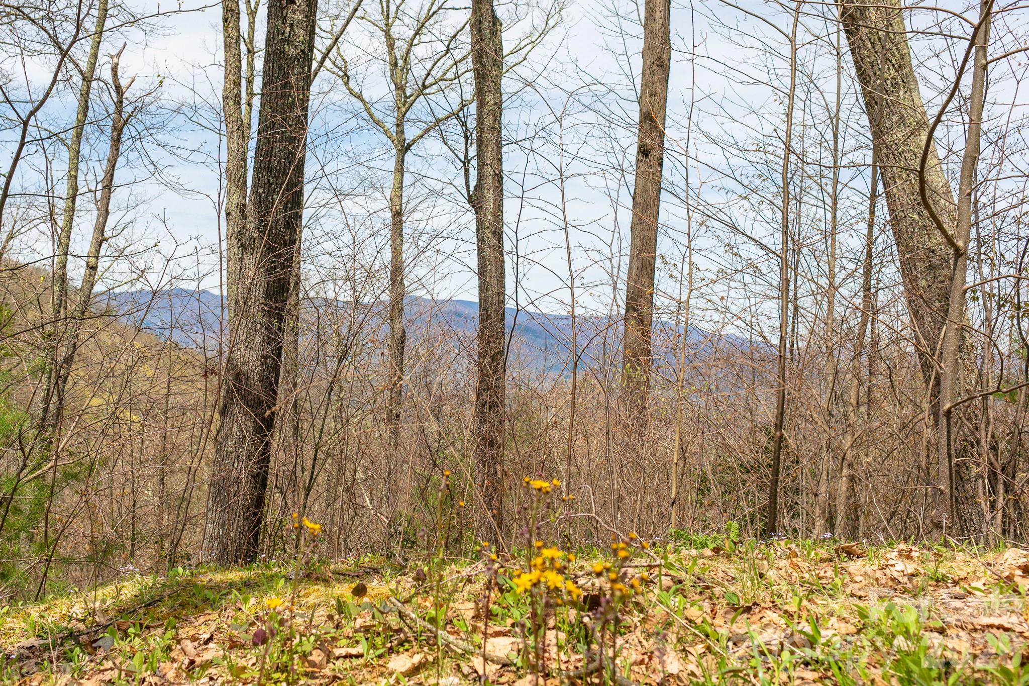 Lot 2 Heritage Ridge Loop thumbnail image 6