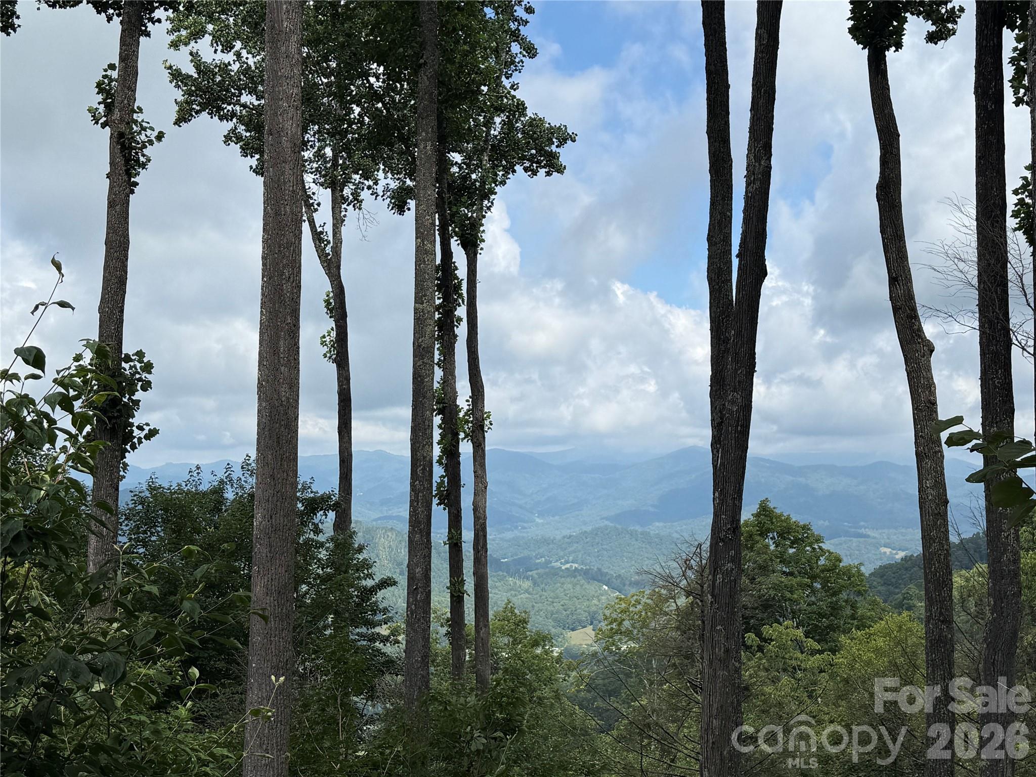 528 Andrew Banks Road A/3 thumbnail image 2