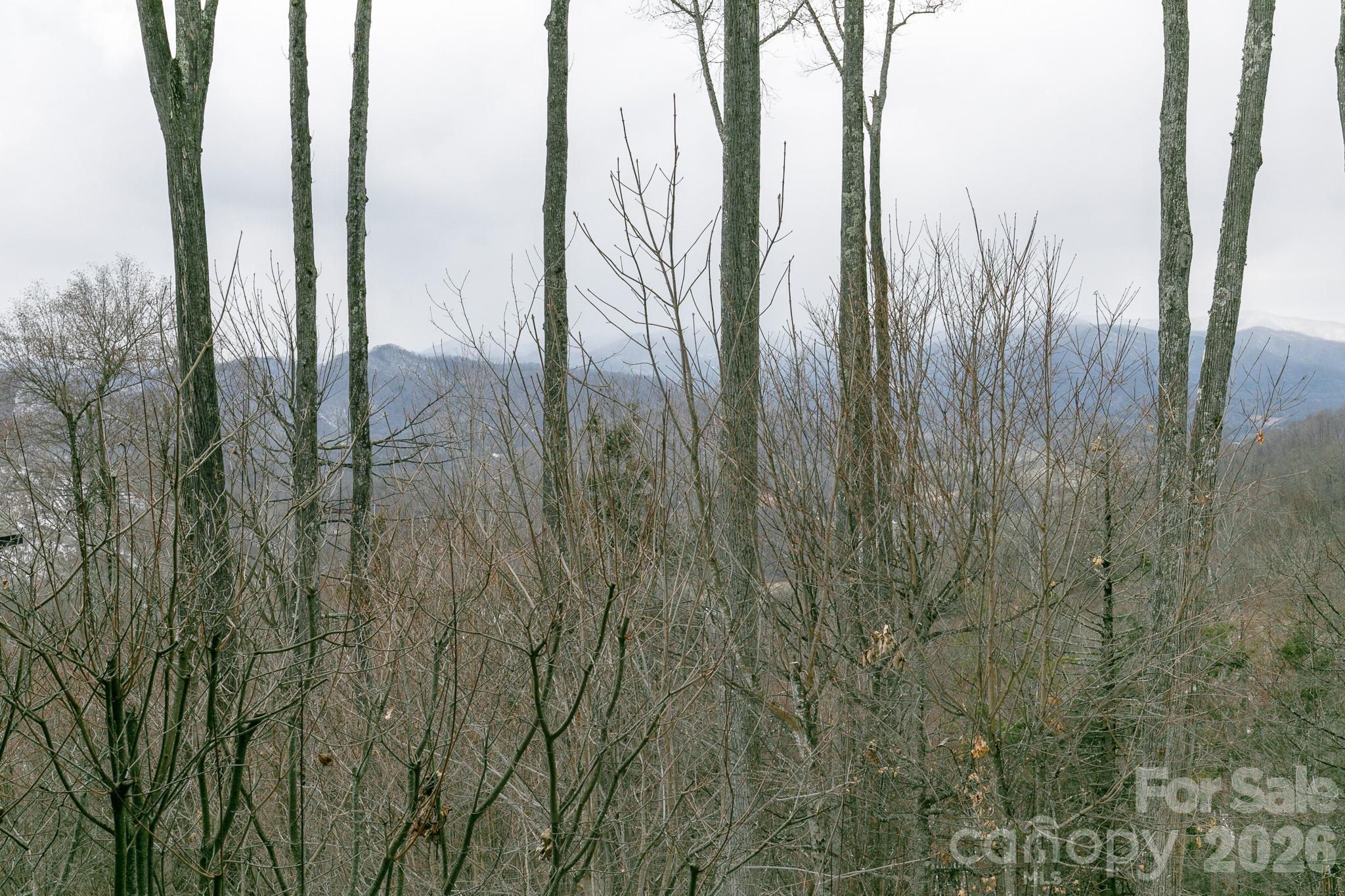 528 Andrew Banks Road A/3 thumbnail image 17